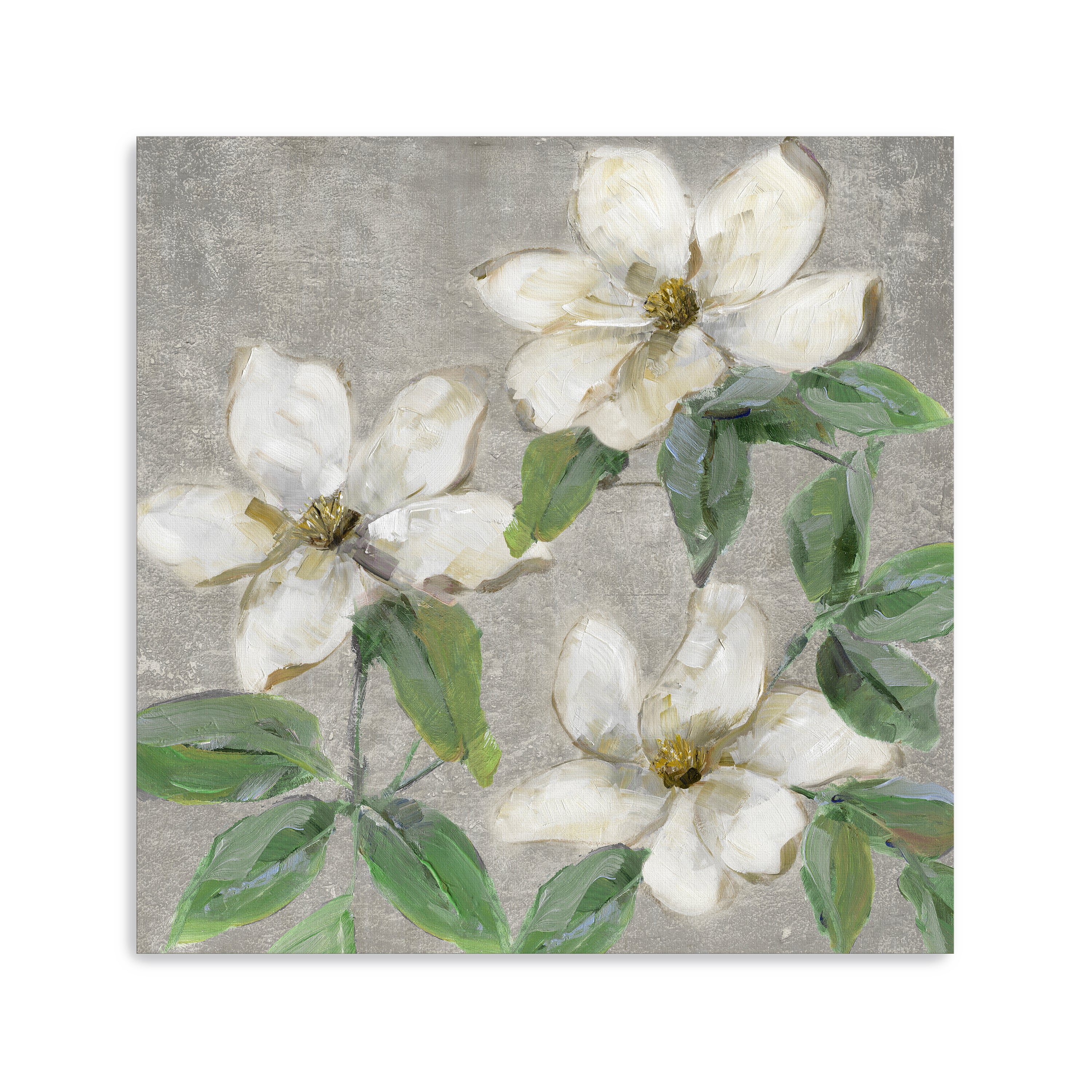 Glimmering Magnolias II Canvas Giclee