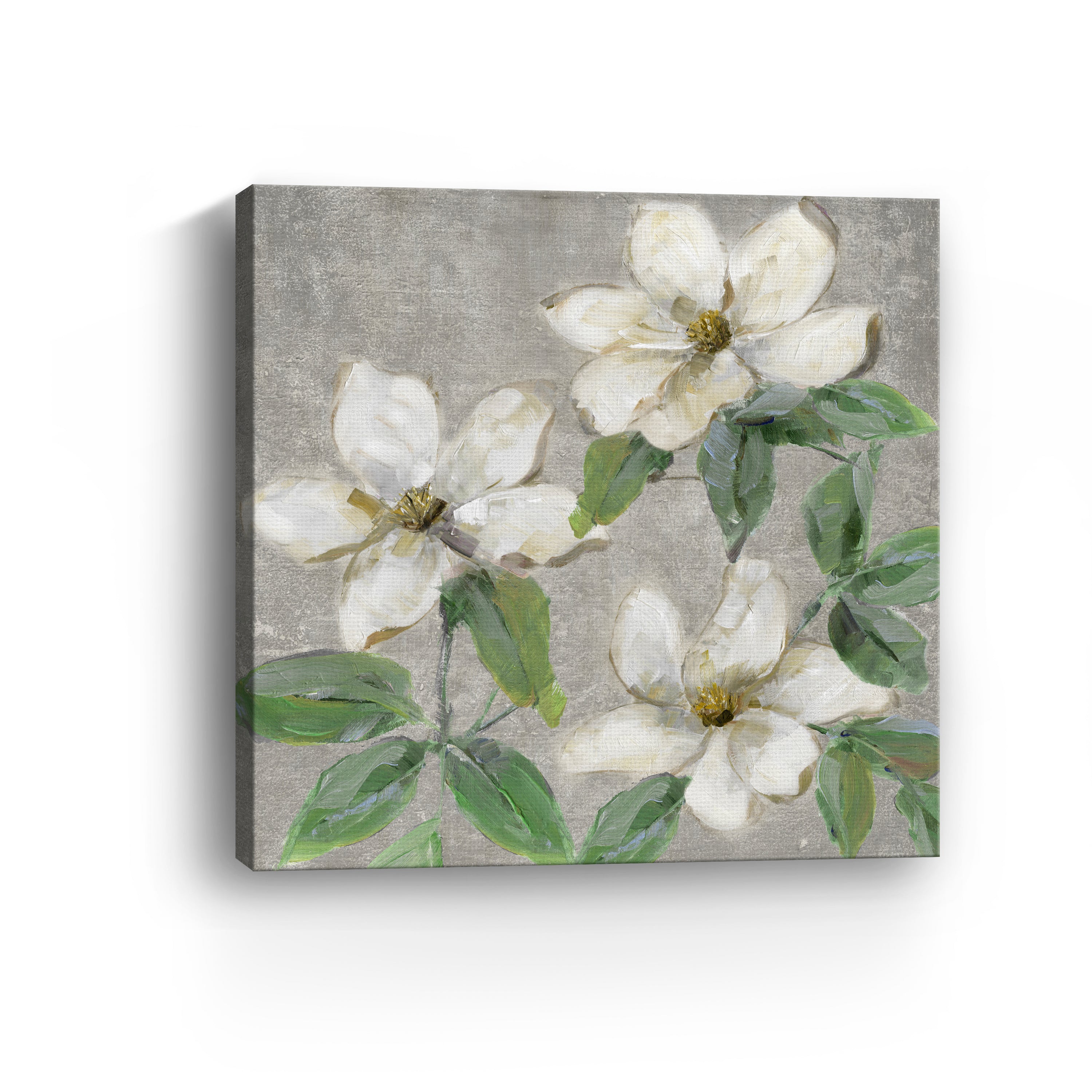 Glimmering Magnolias II Canvas Giclee