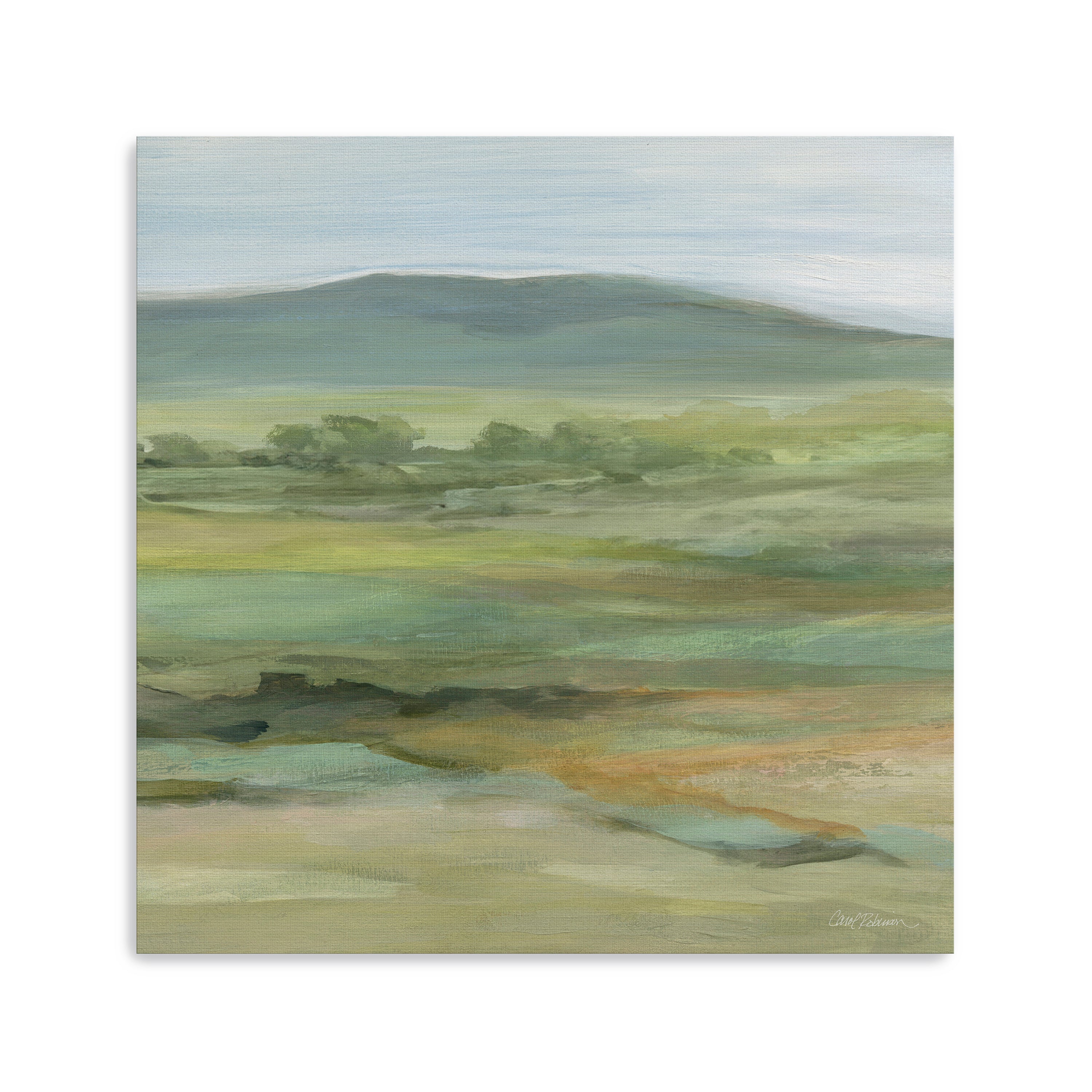 Vast Expanse I Canvas Giclee