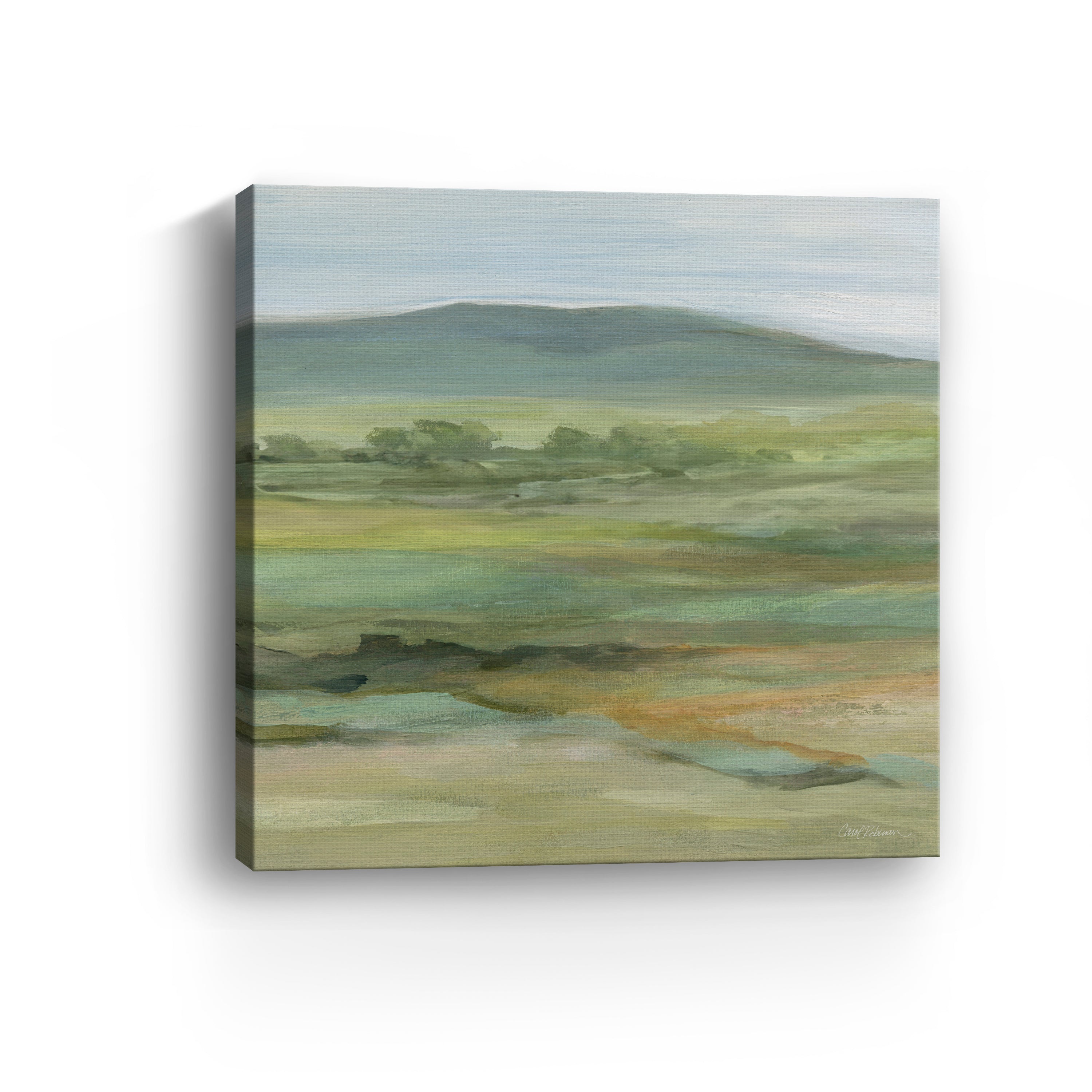 Vast Expanse I Canvas Giclee