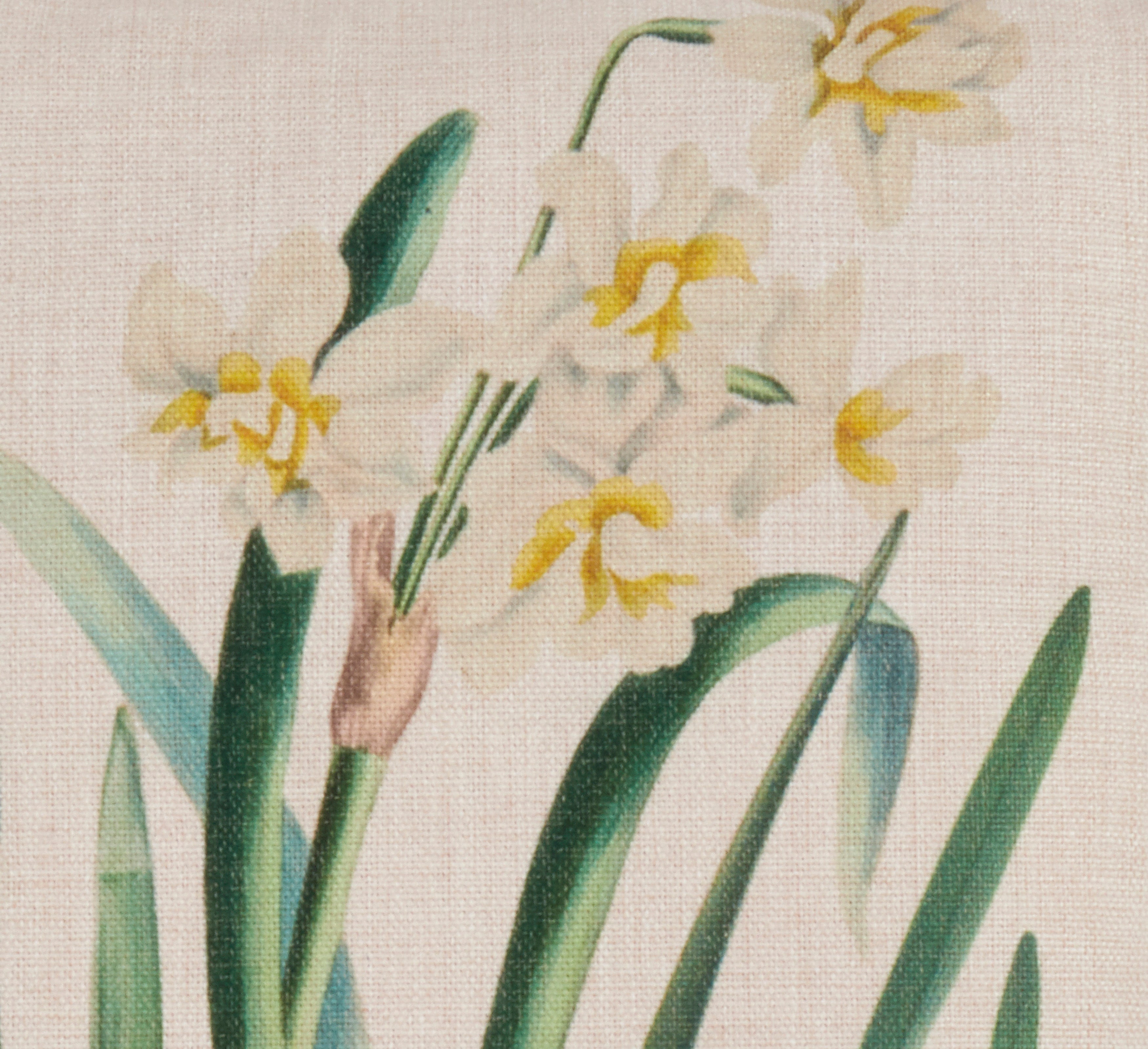 Daffodil Print Throw Pillow