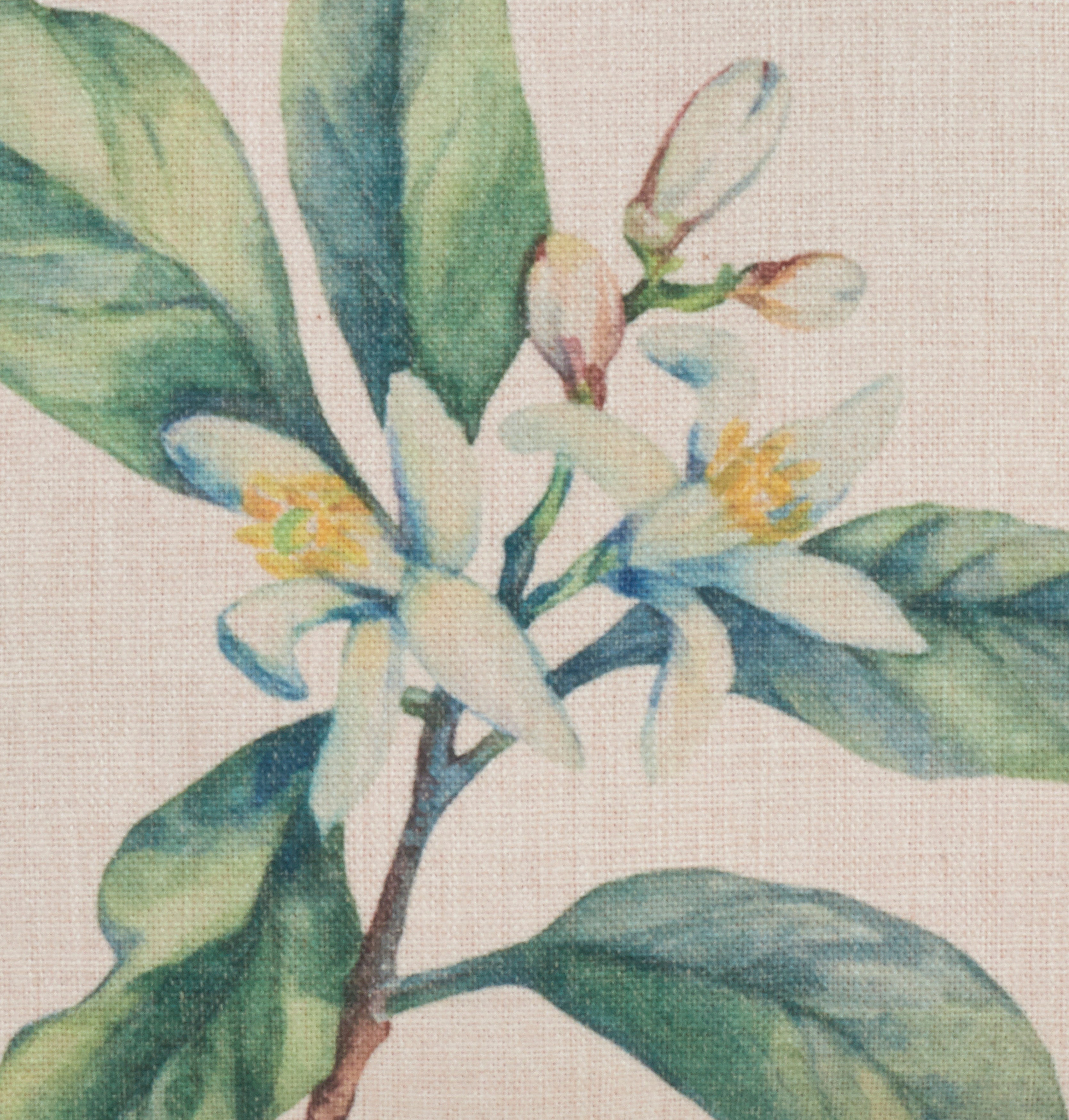 Citrus Flower Throw Pillow