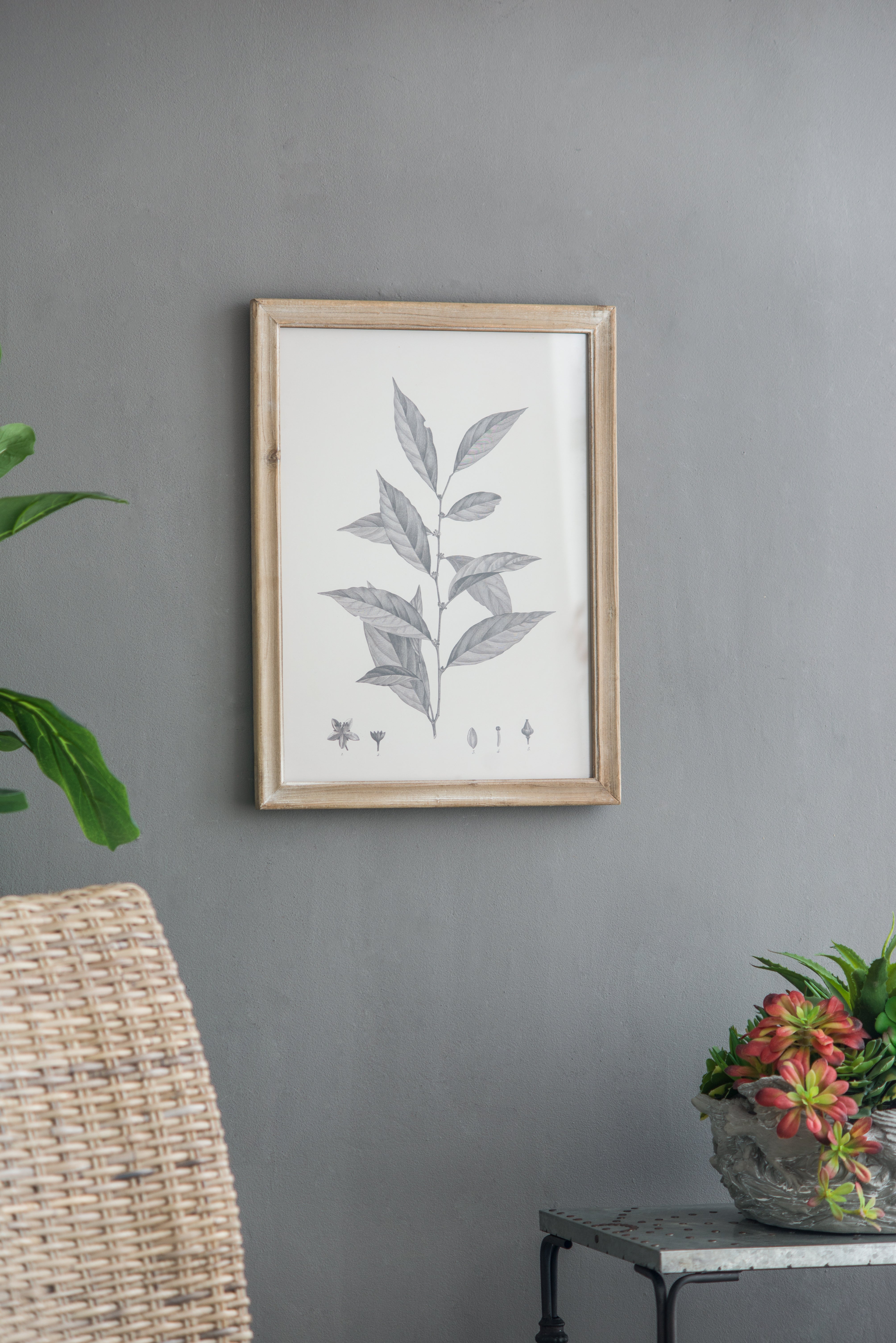 Botanical Wall Décor, Set of 4