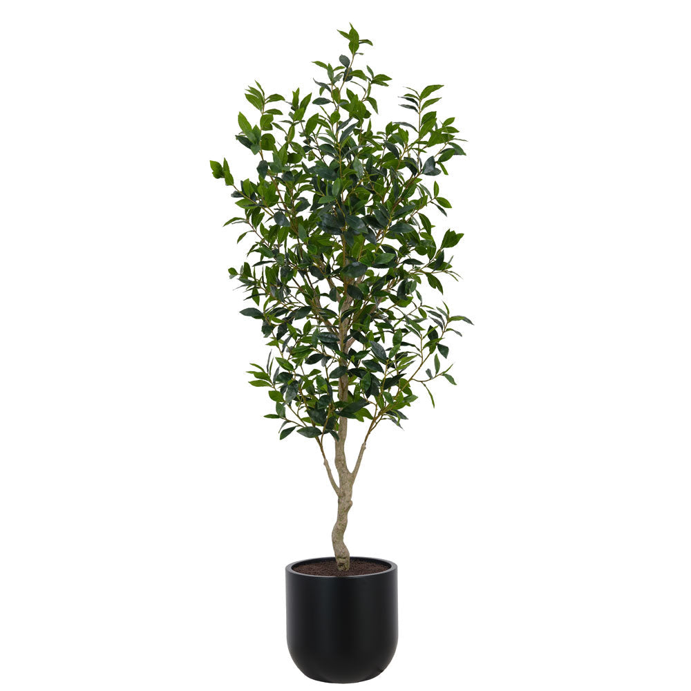 Faux Potted Laurel Tree, 7 ft