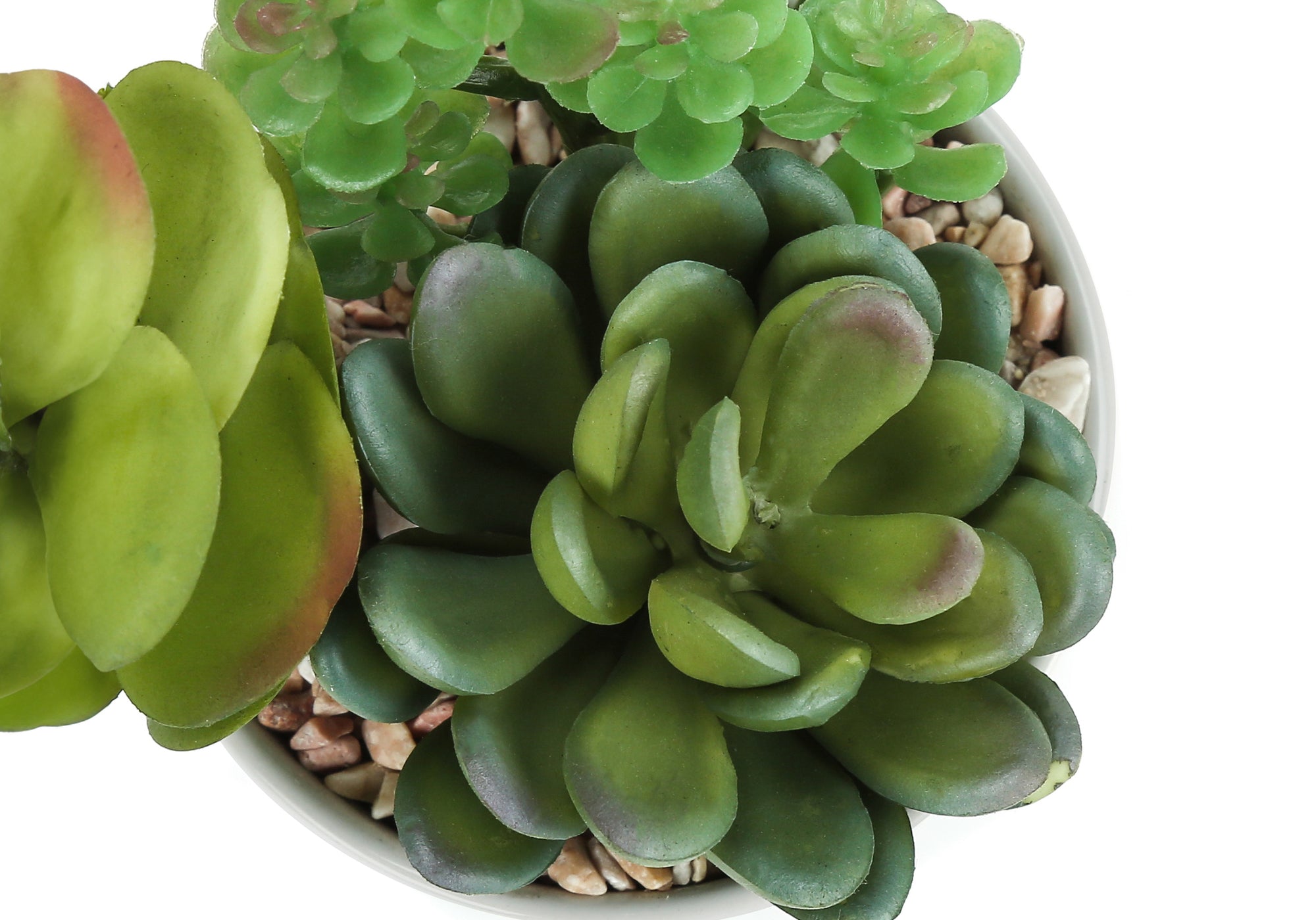 7" Tall Artificial Succulent Plant with Pots, Set of 2