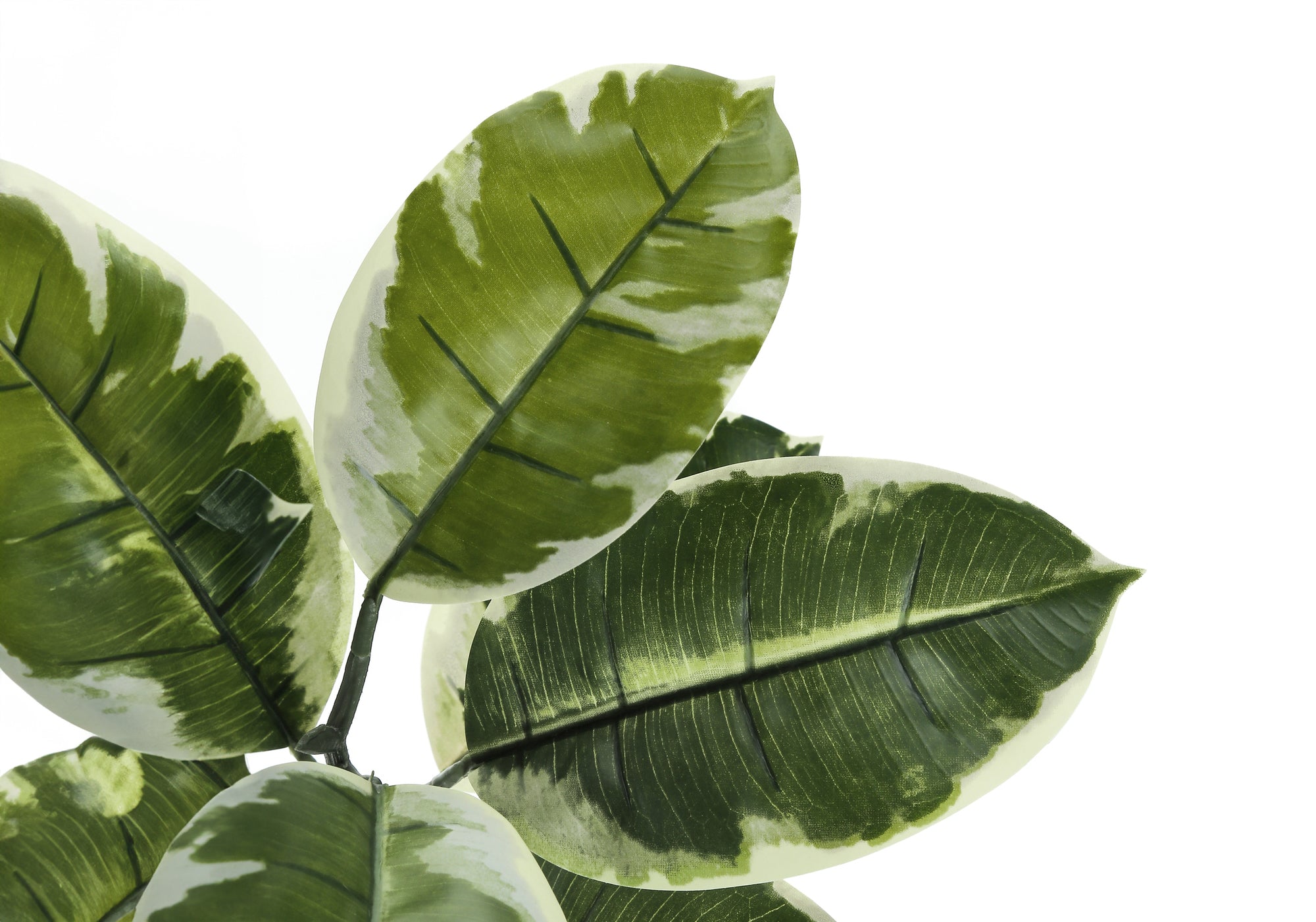 52" Tall Artificial Rubber Tree with Pot