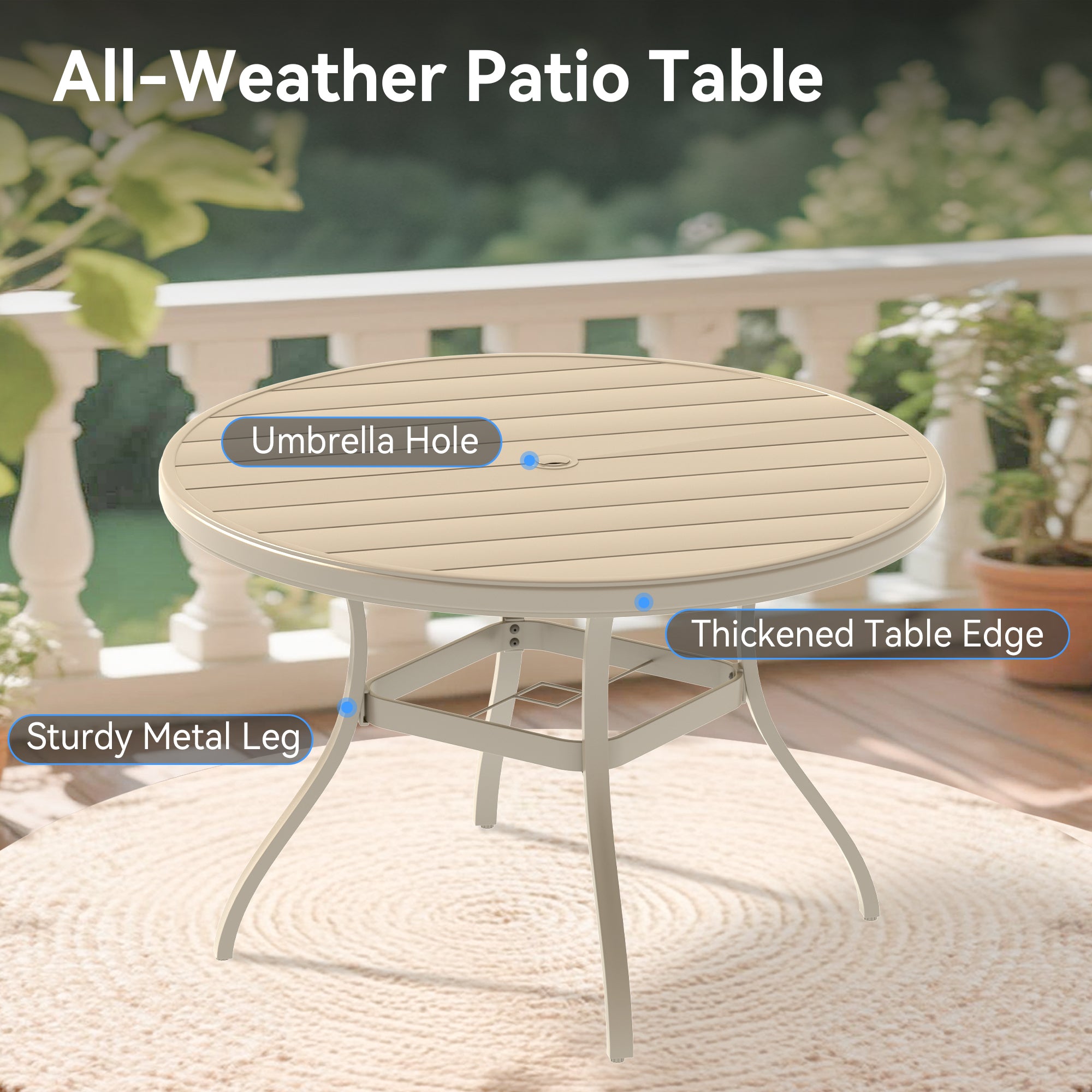 23745420