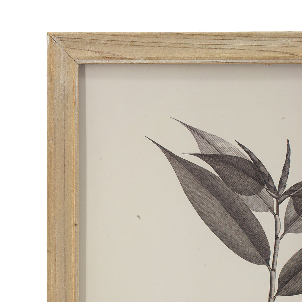 Botanical Wall Décor, Set of 4