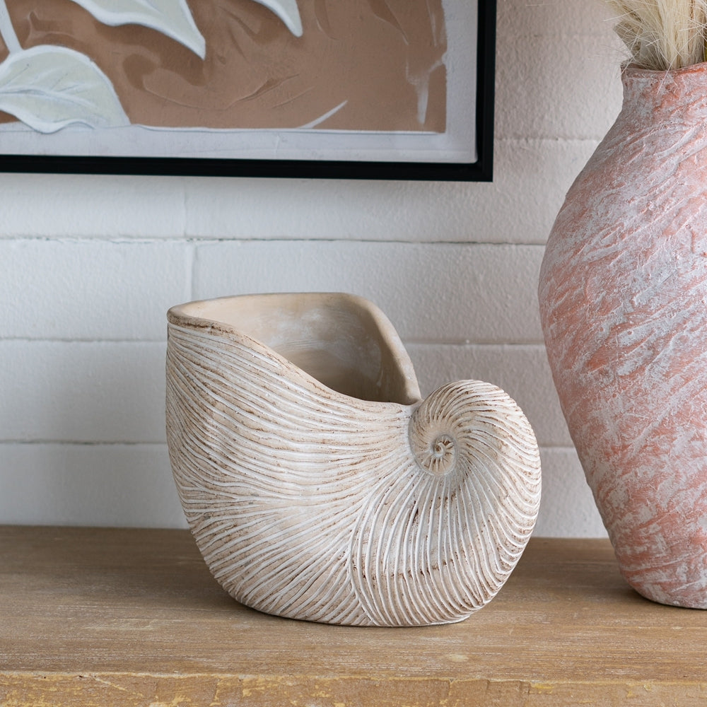 Nautilus Shell Planter with Textured Finish