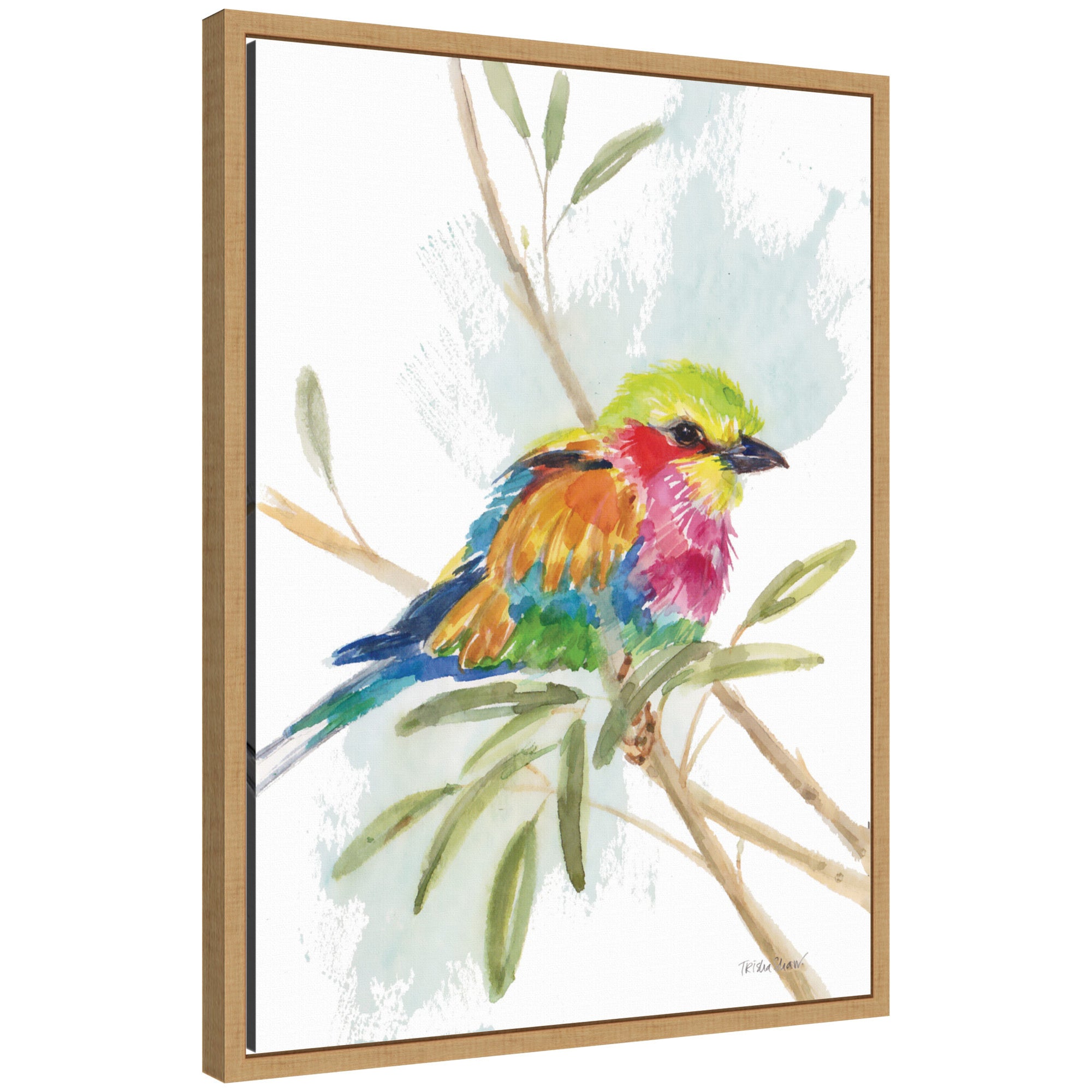 Bright Bird by Patricia Shaw Framed Canvas Wall Art Print