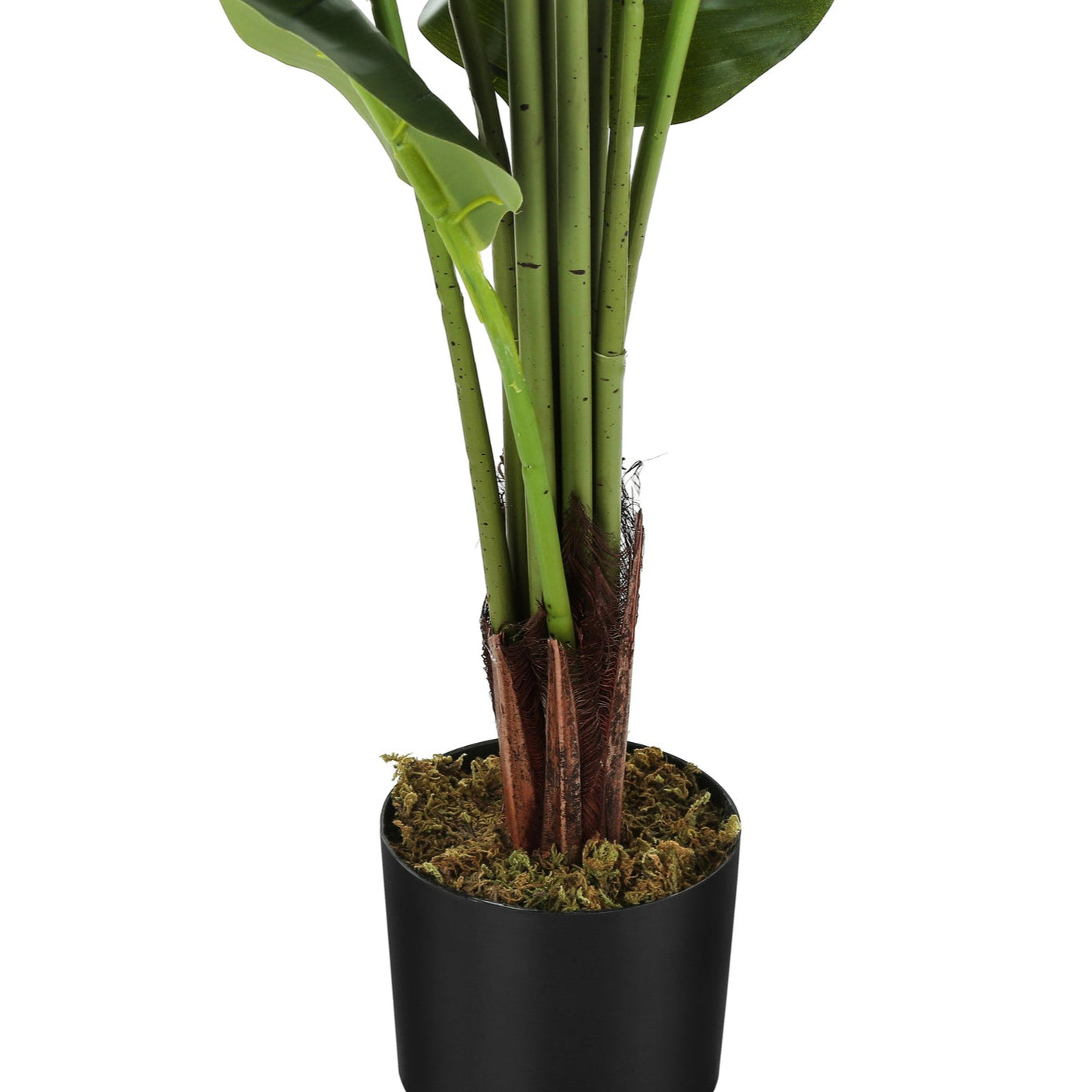 59" Tall Artificial Strelitzia Tree with Pot