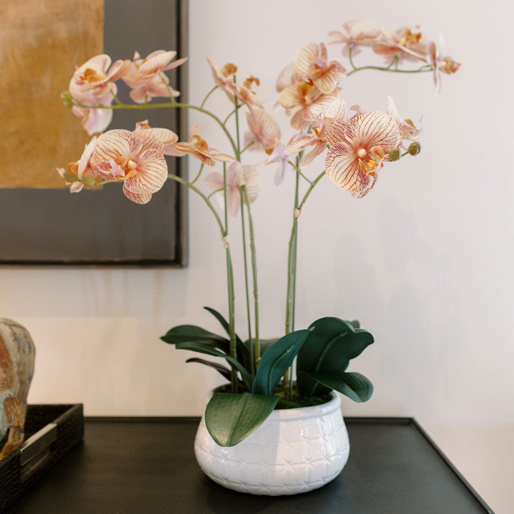 Faux Potted  Phalaenopsis Orchid, 23 in