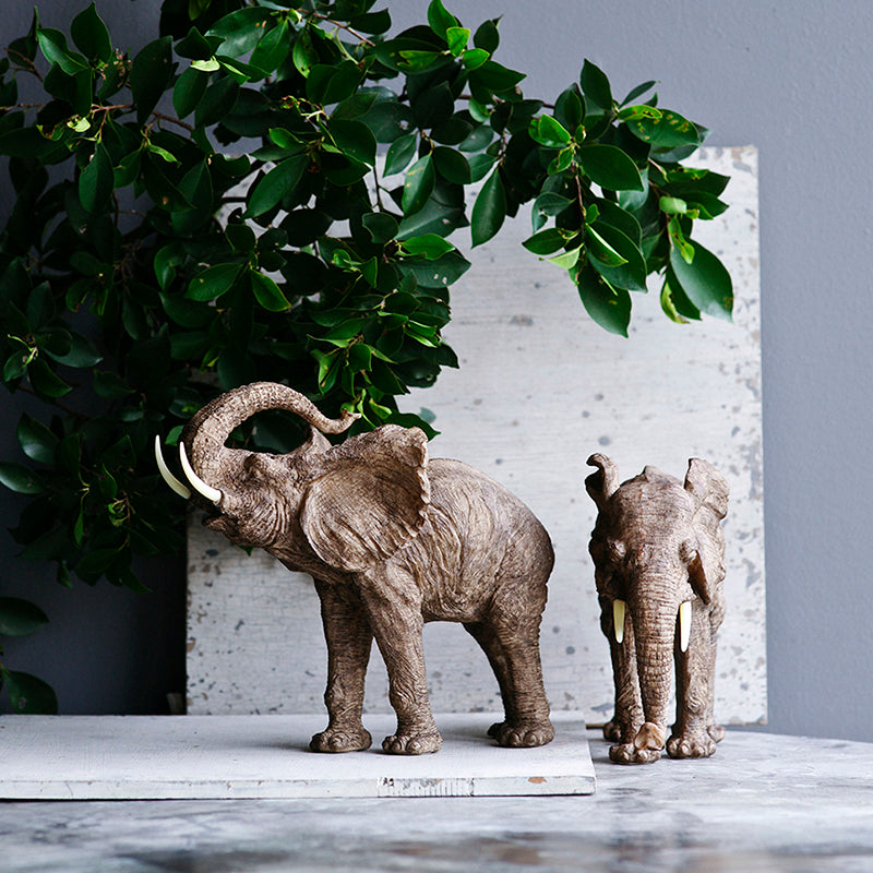 Trumpeting Elephant Accent