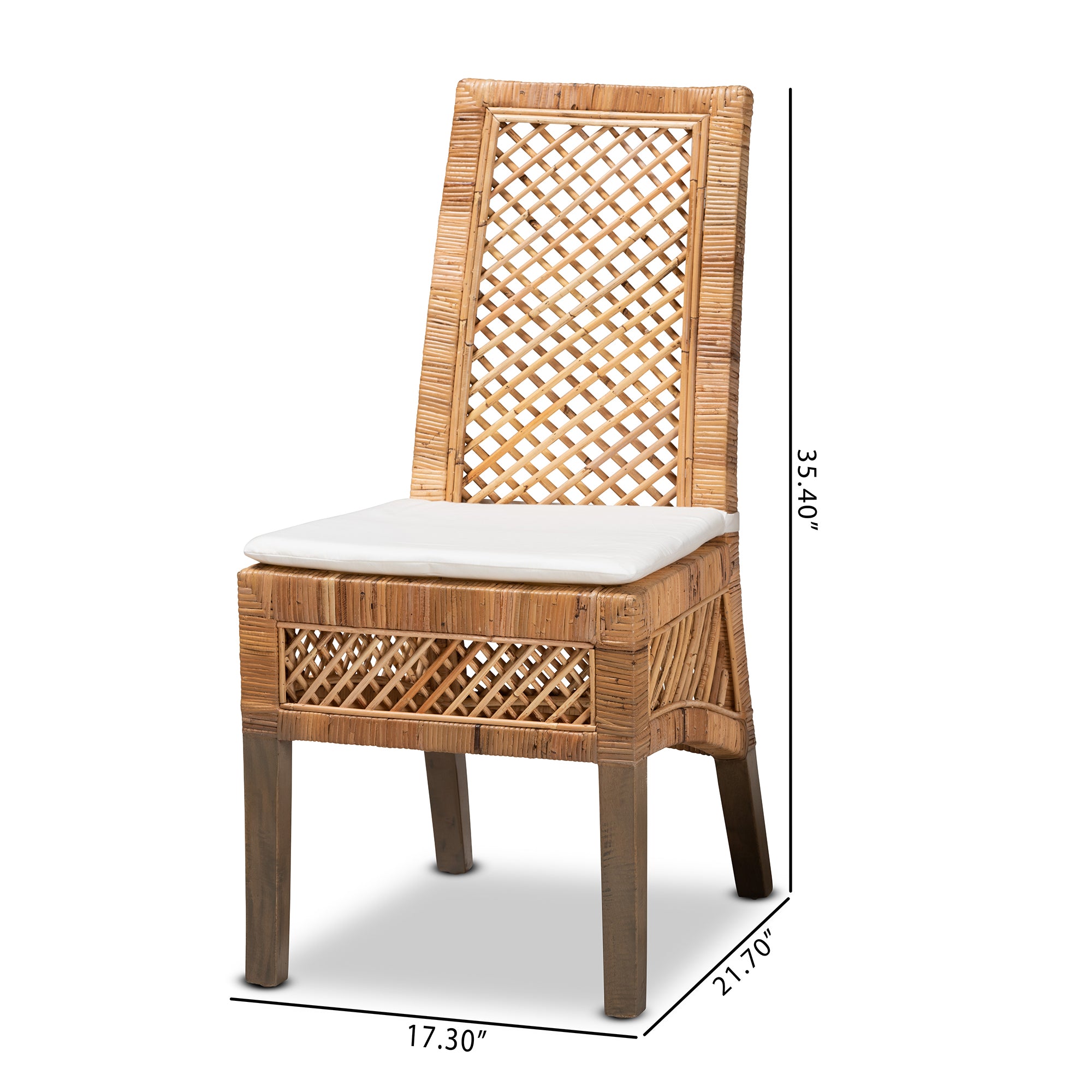Norene Rattan 2-Piece Dining Chair Set