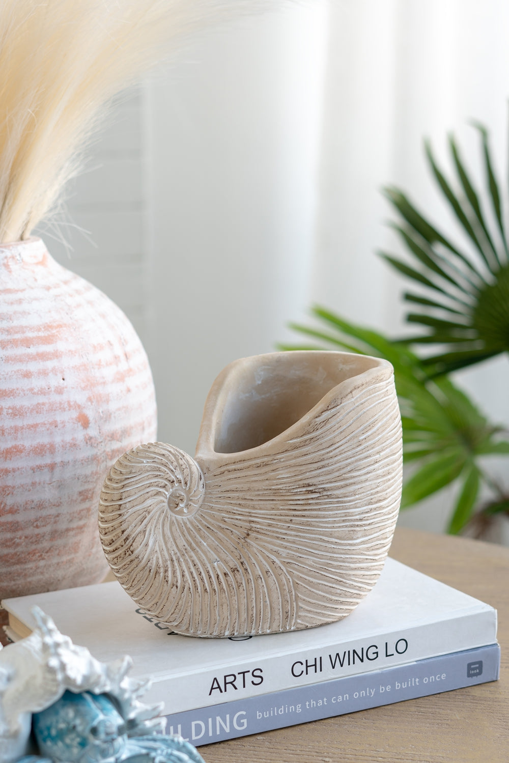 Nautilus Shell Planter with Textured Finish
