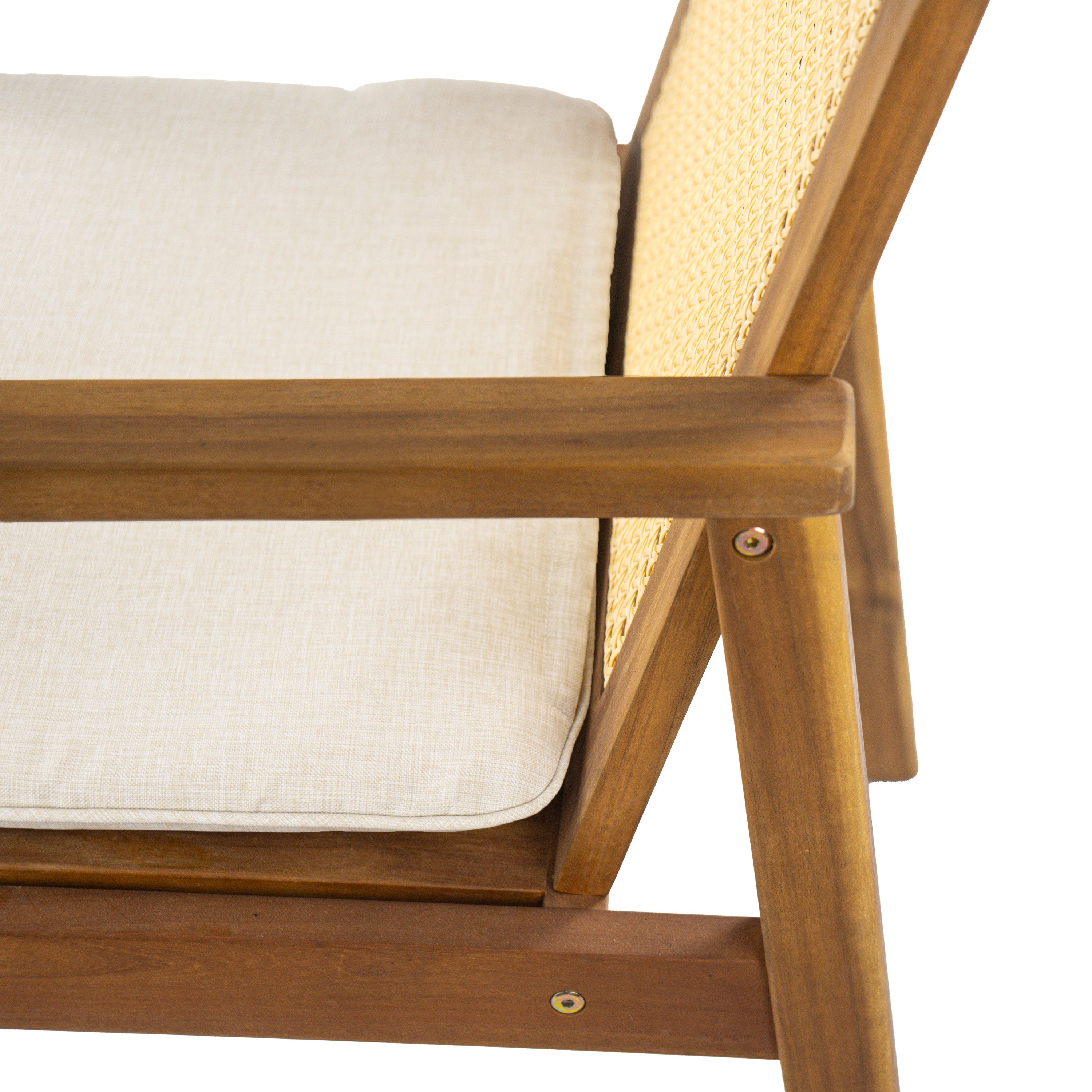 Preston Outdoor Dining Chair with Cushion, Set of 2