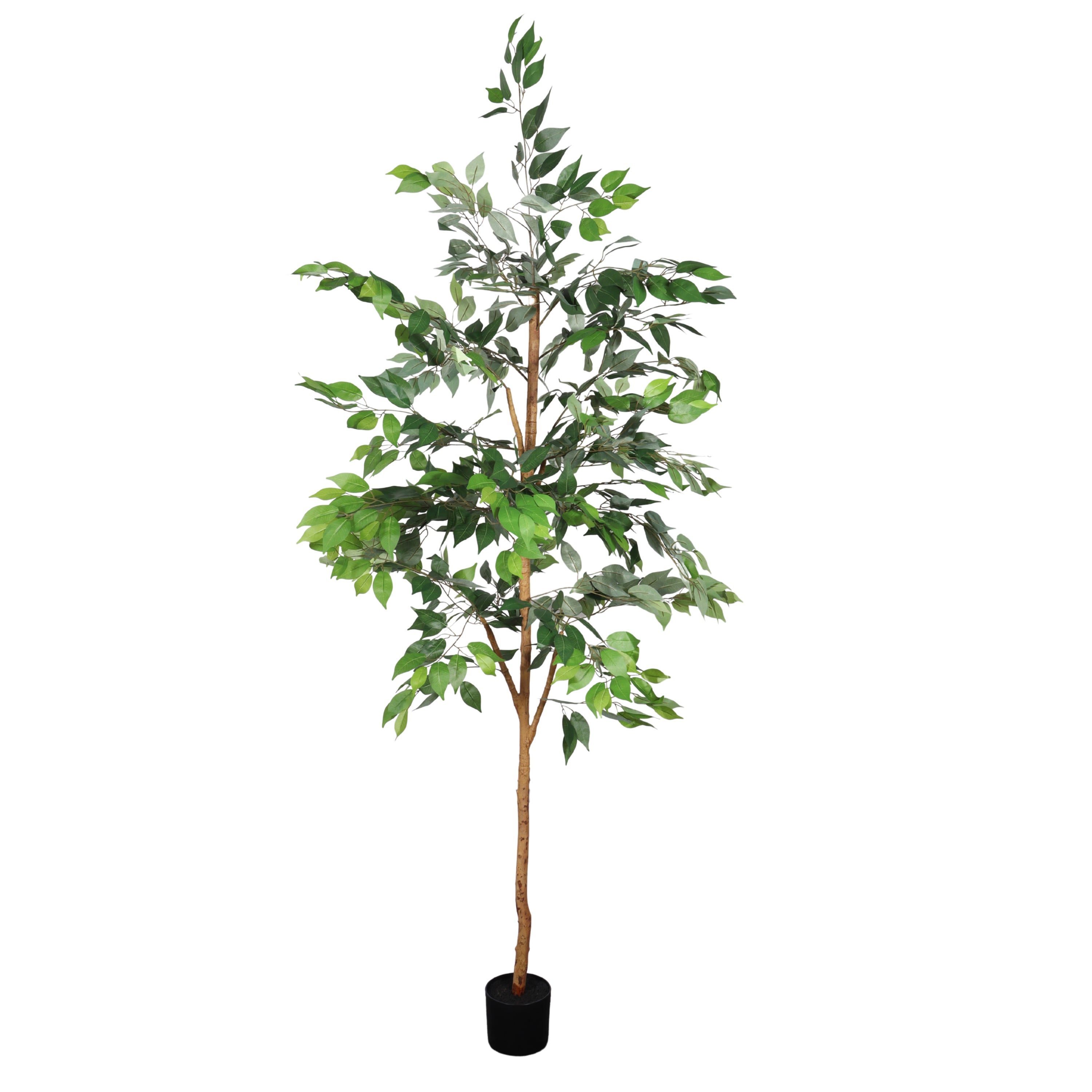 6ft Faux Ficus Tree