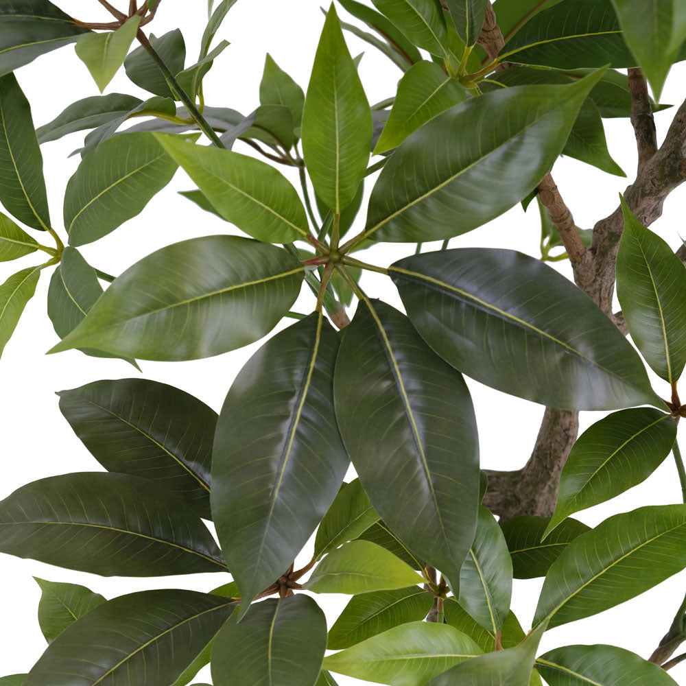 Faux Potted Money Tree, 7 ft