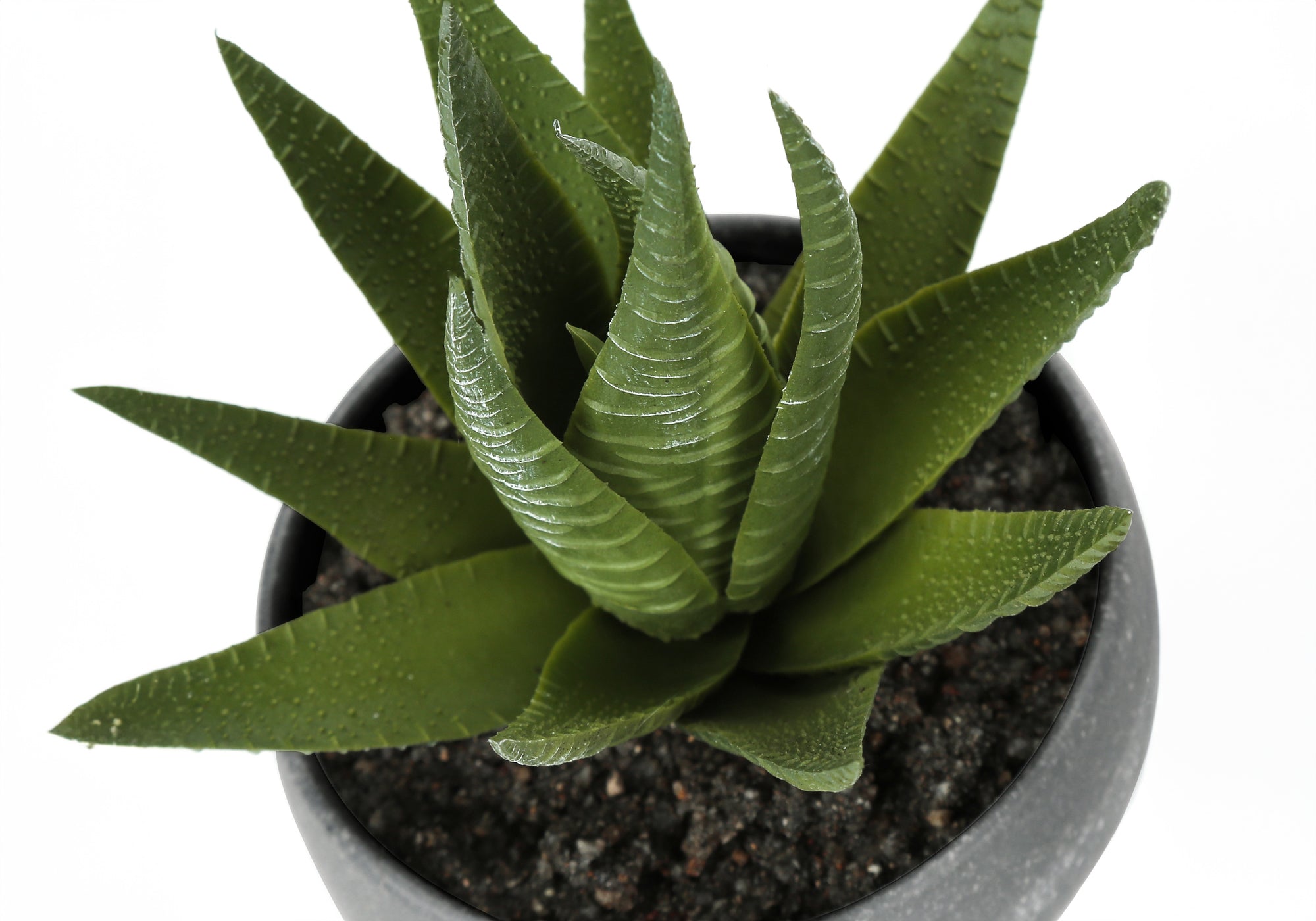 faux plant grey pot 6" Faux Succulents with Gray Pot, Set Of 3