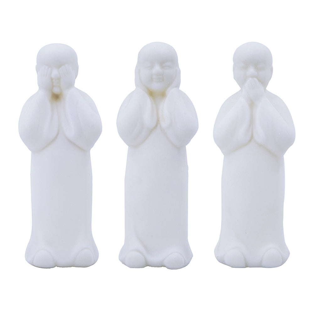 22937781