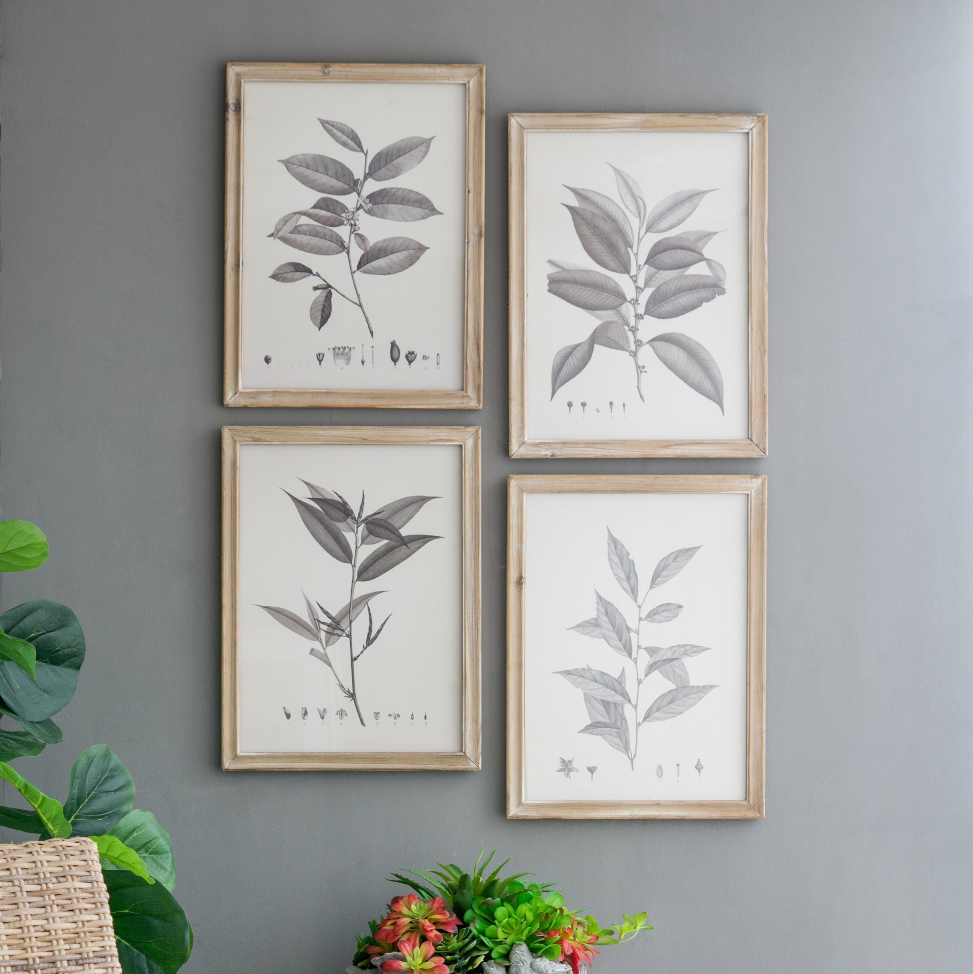 Botanical Wall Décor, Set of 4