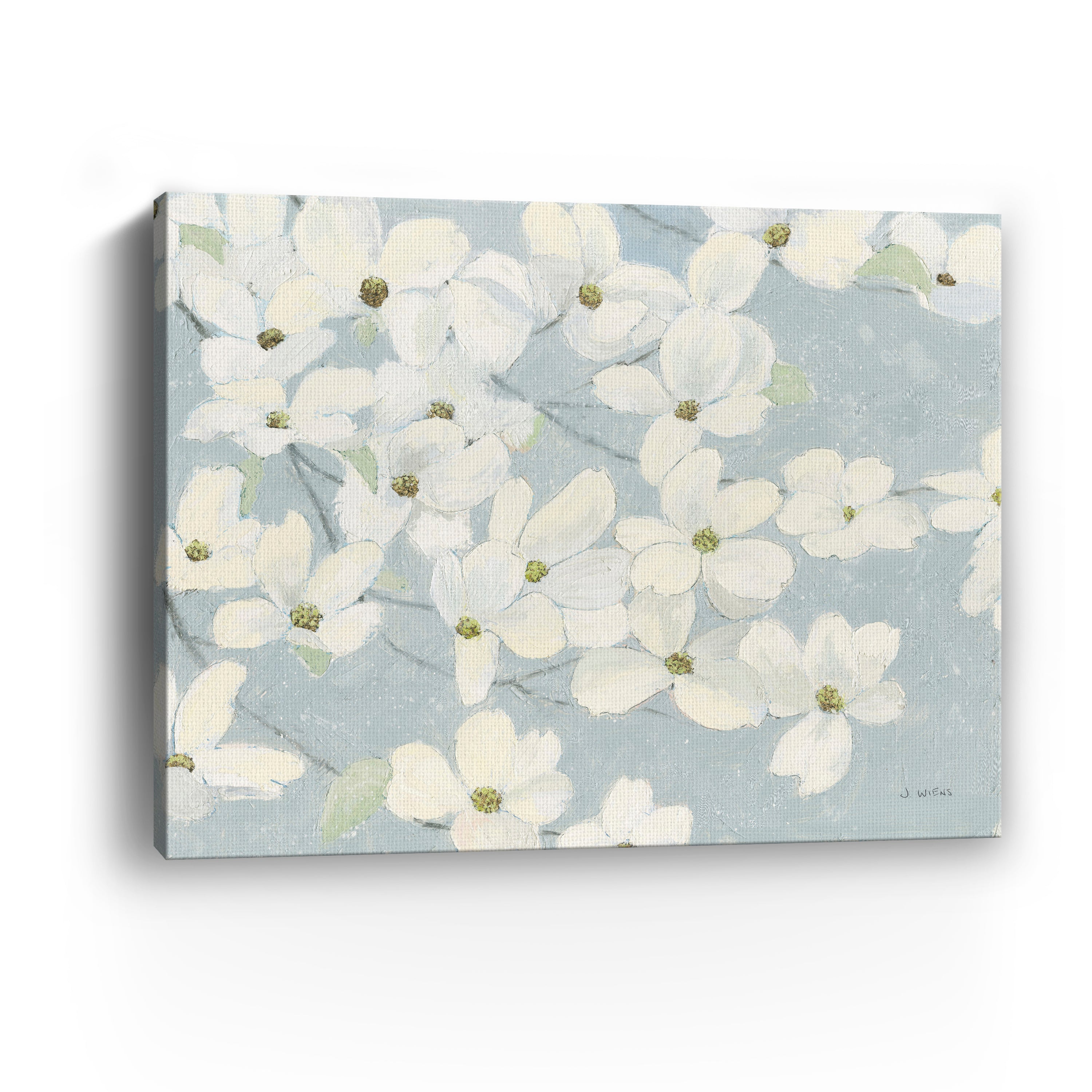 Spring Dogwoods Canvas Giclee