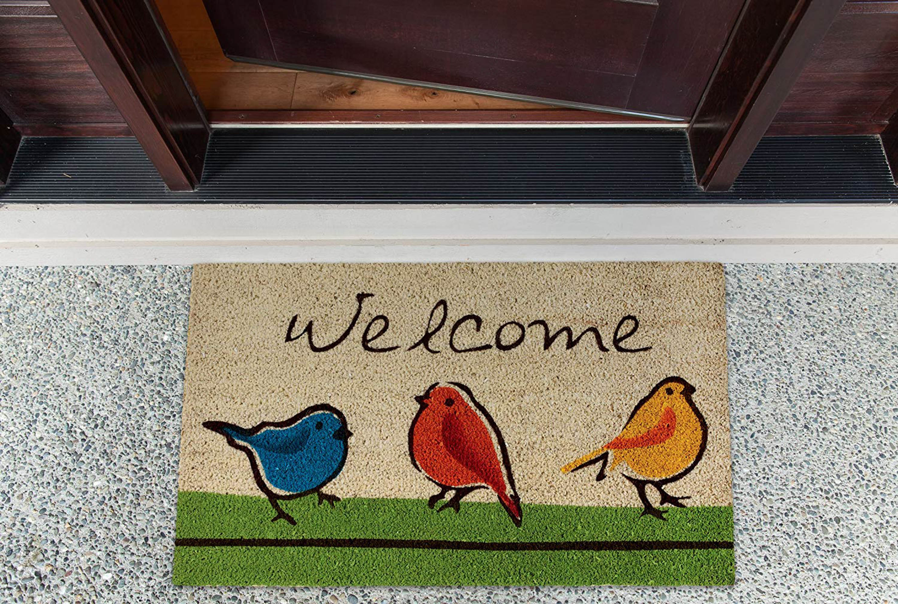DII Natural Coir Doormat Outdoor Welcome Mat, For the Birds
