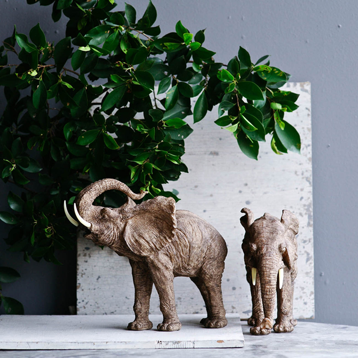 Walking Elephant Accent