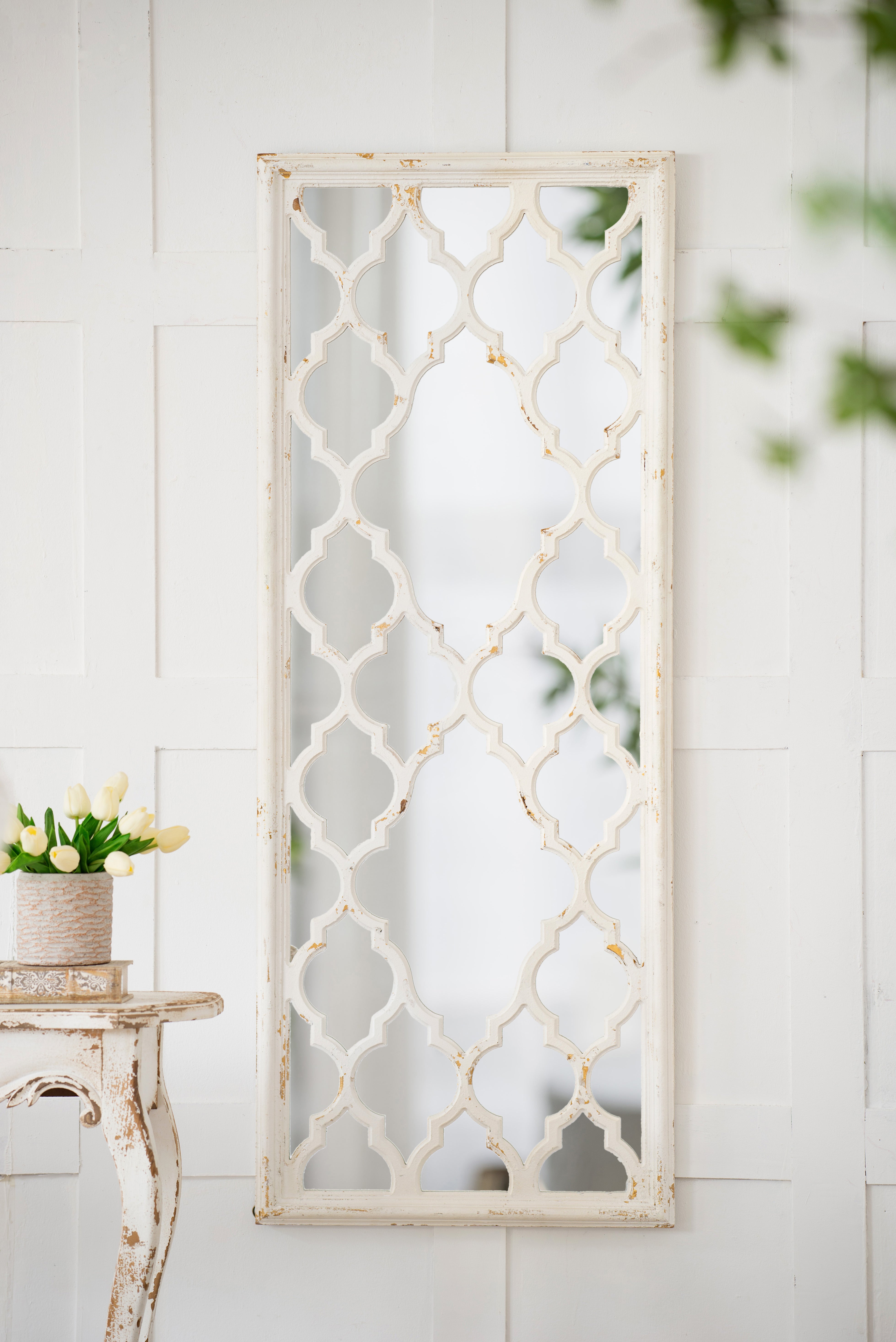 24" x 60" Full Body Floor Mirror with Classic Pattern