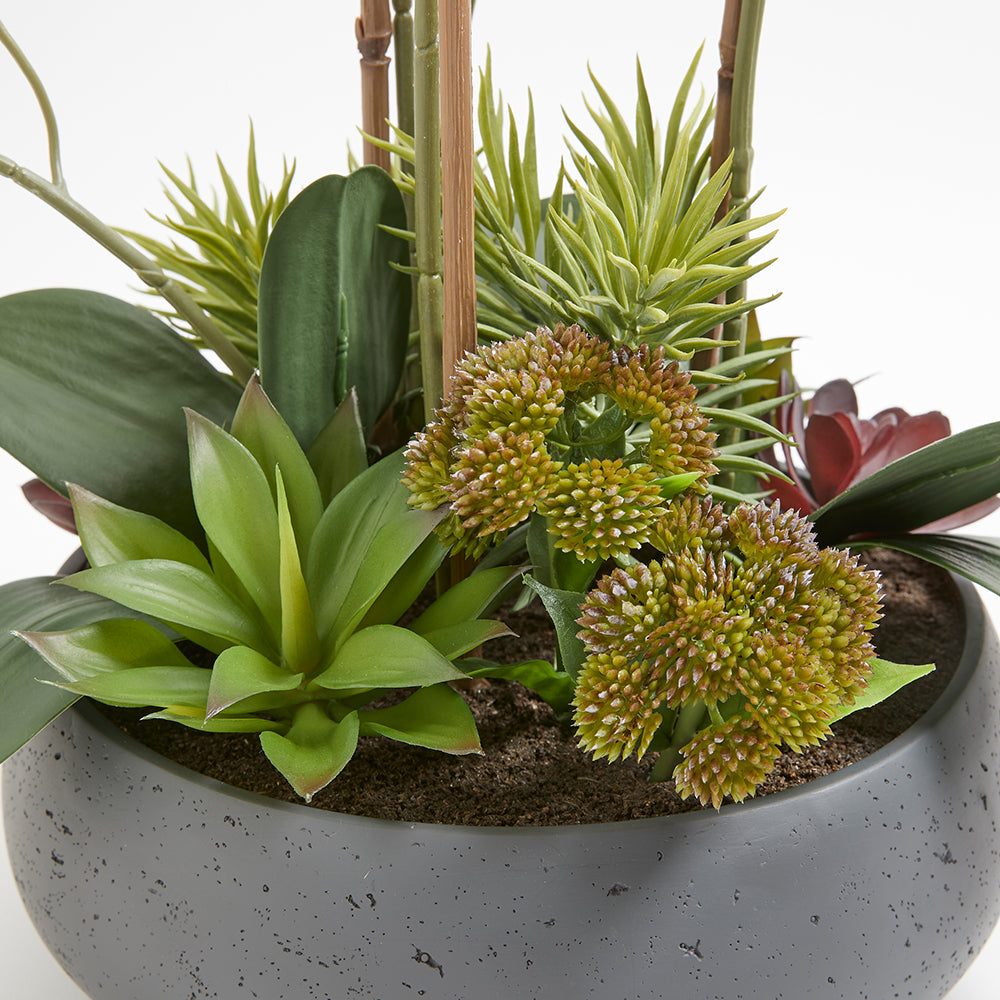 Faux Orchid with Succulents in gray modern round pot