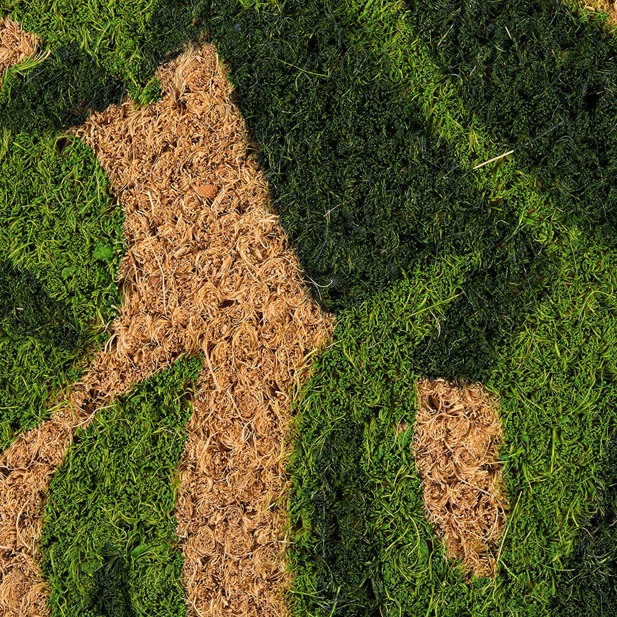 DII Palm Leaves Vinyl Back Coir Doormat, Non-Slip PVC Backing