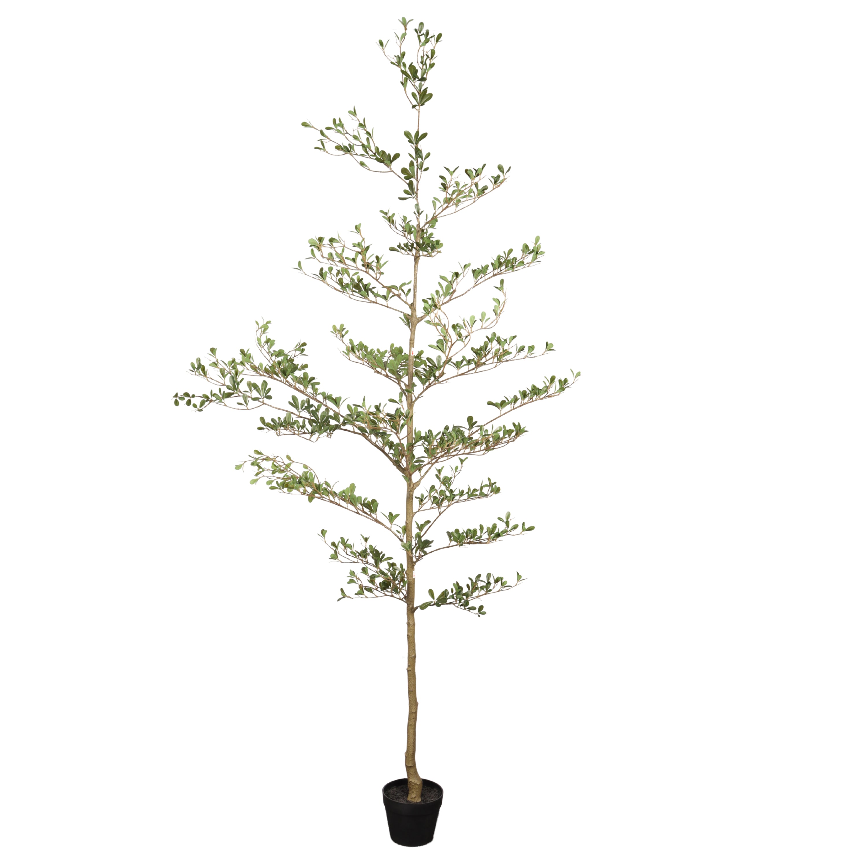 7ft Faux Black Olive Tree with Black Plastic Pot