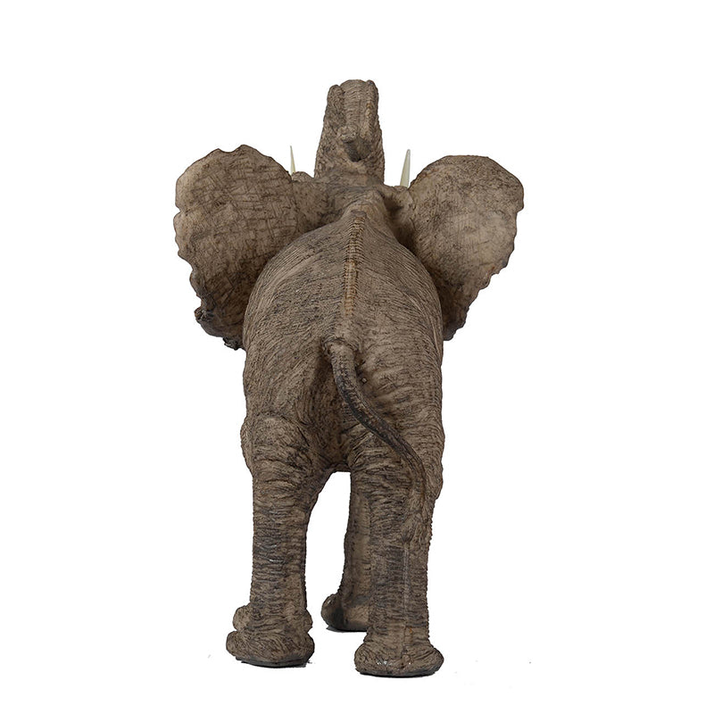 Trumpeting Elephant Accent