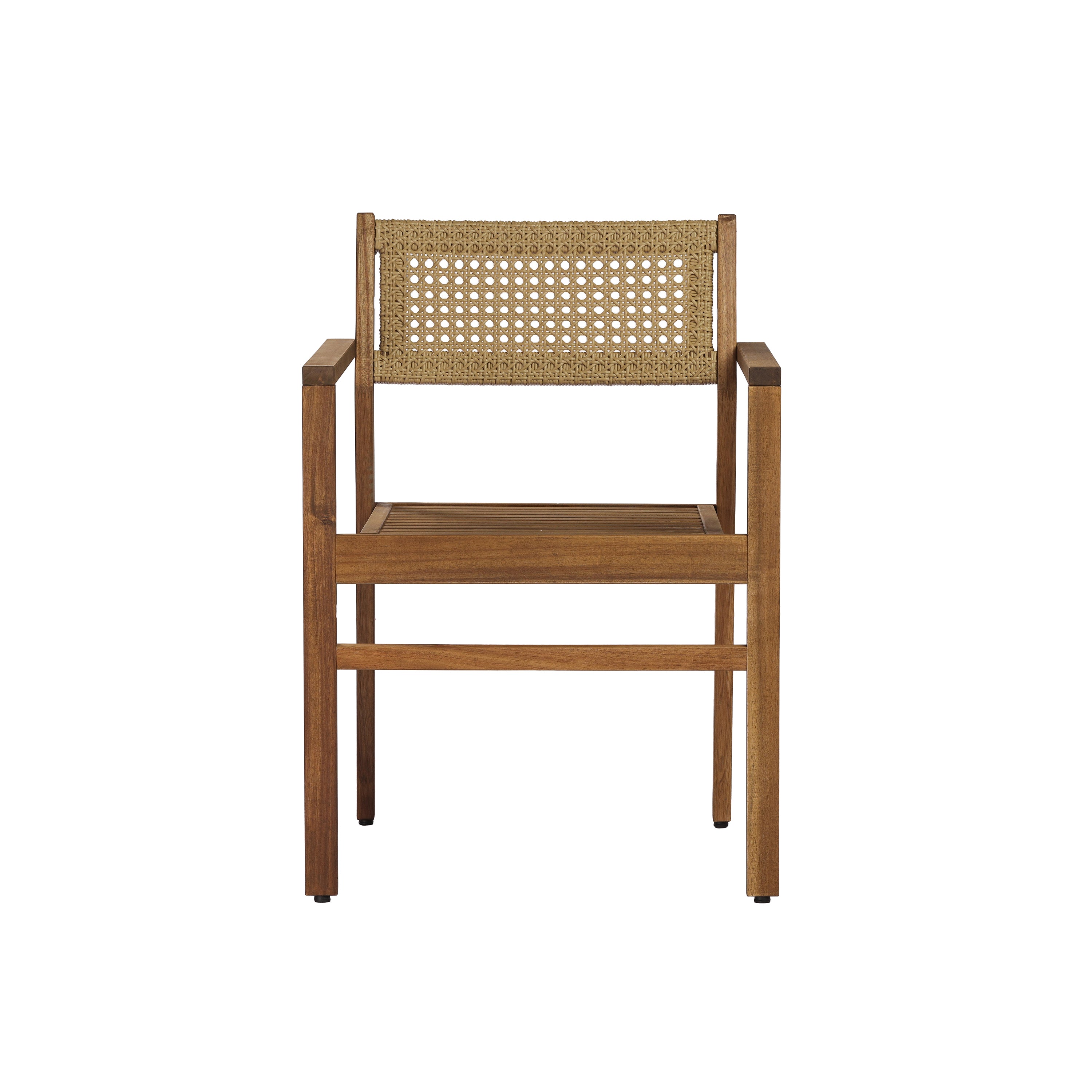 Dining Chair (Set of 2)