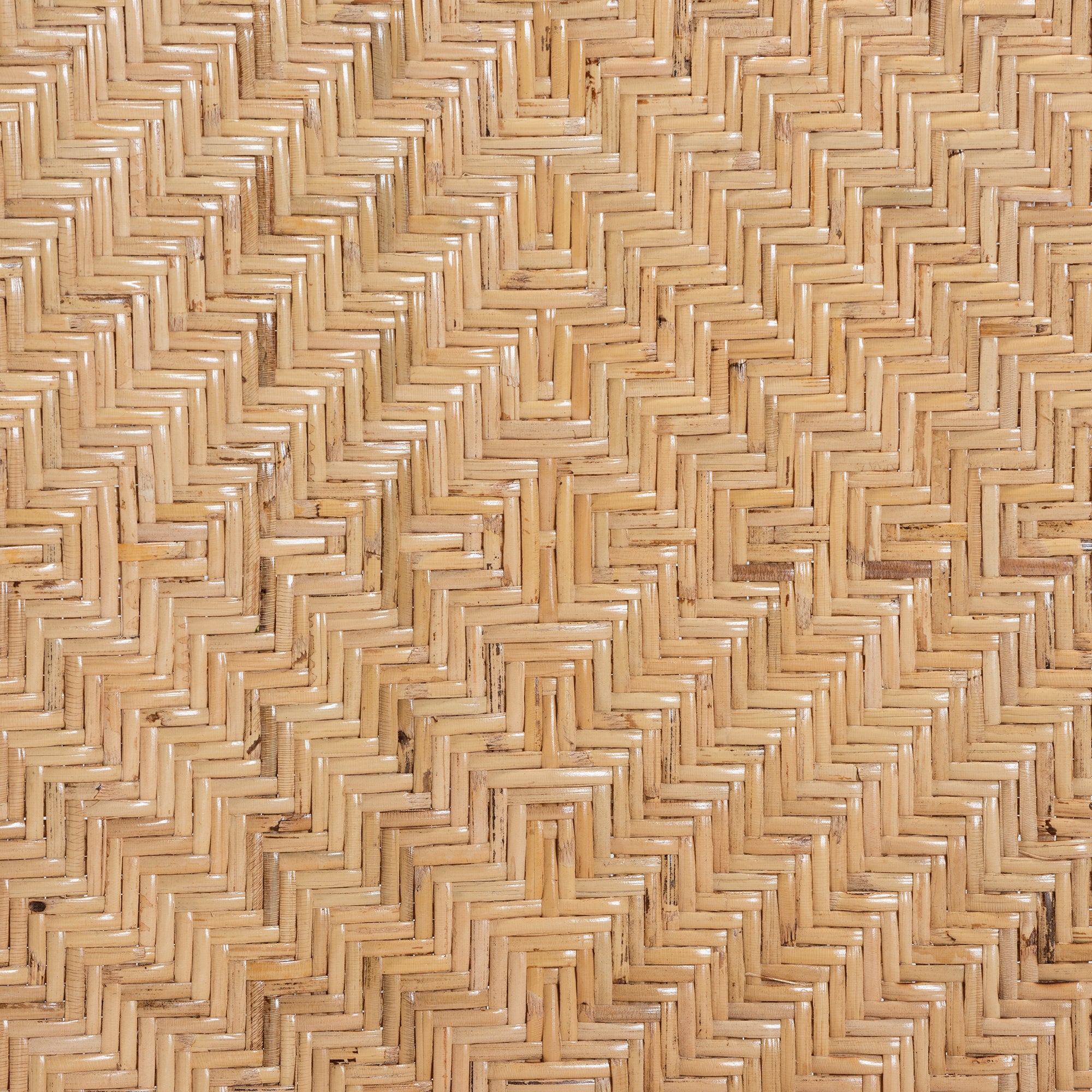 23991517