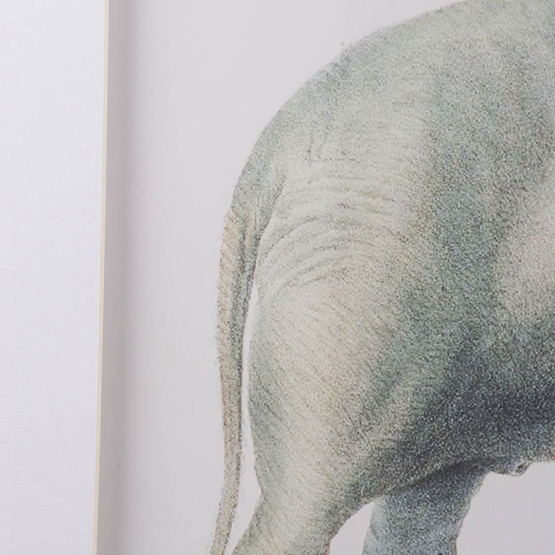 Elephant Pencil Drawings, Set of 2