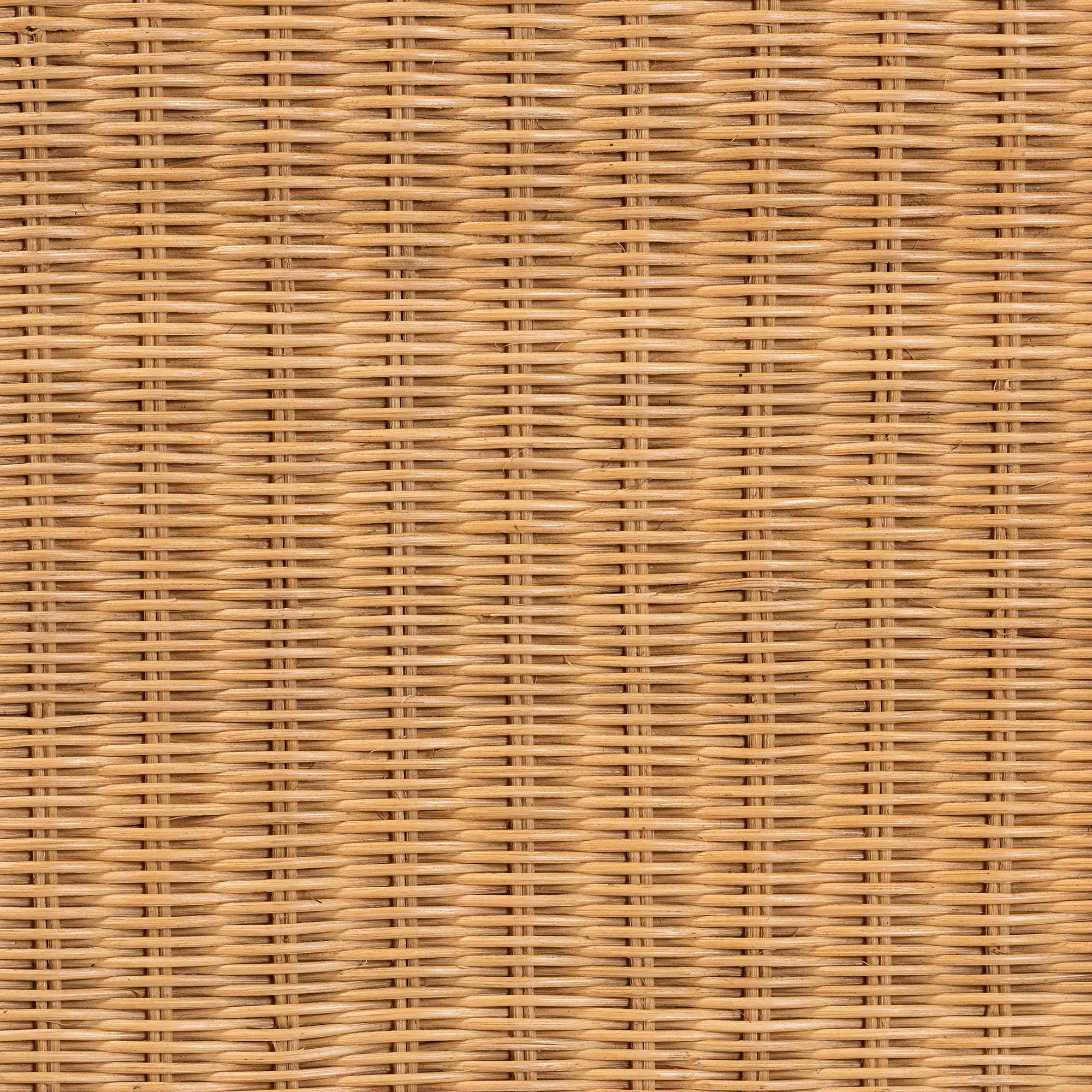 Aneesa Rattan Bench
