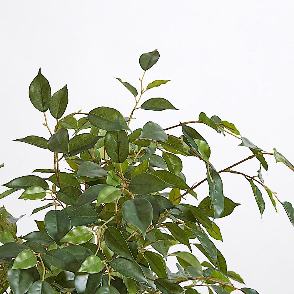 Premium Faux Ficus Tree in modern pot on hardwood floor against wall