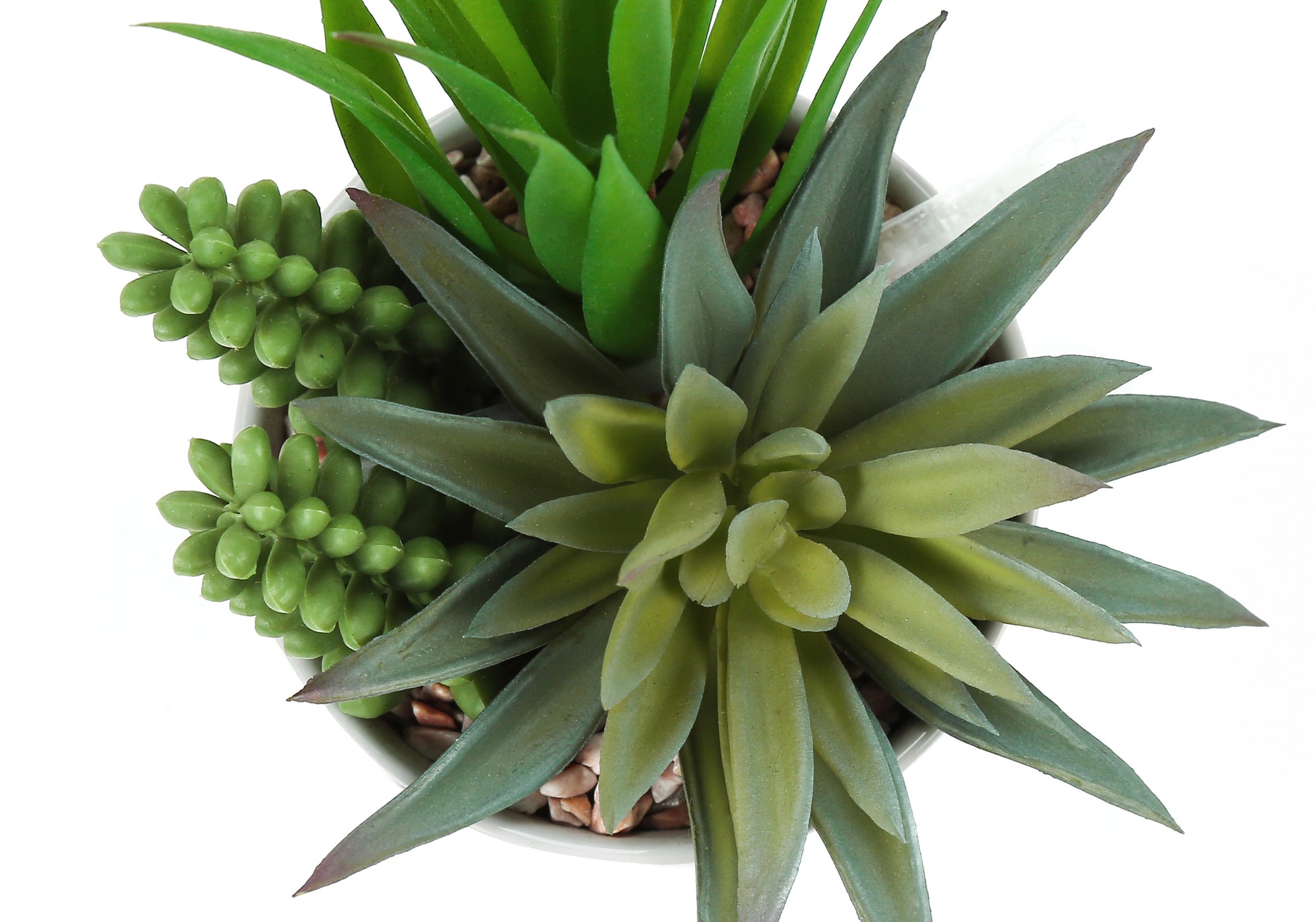 7" Tall Artificial Succulent Plant with Pots, Set of 2