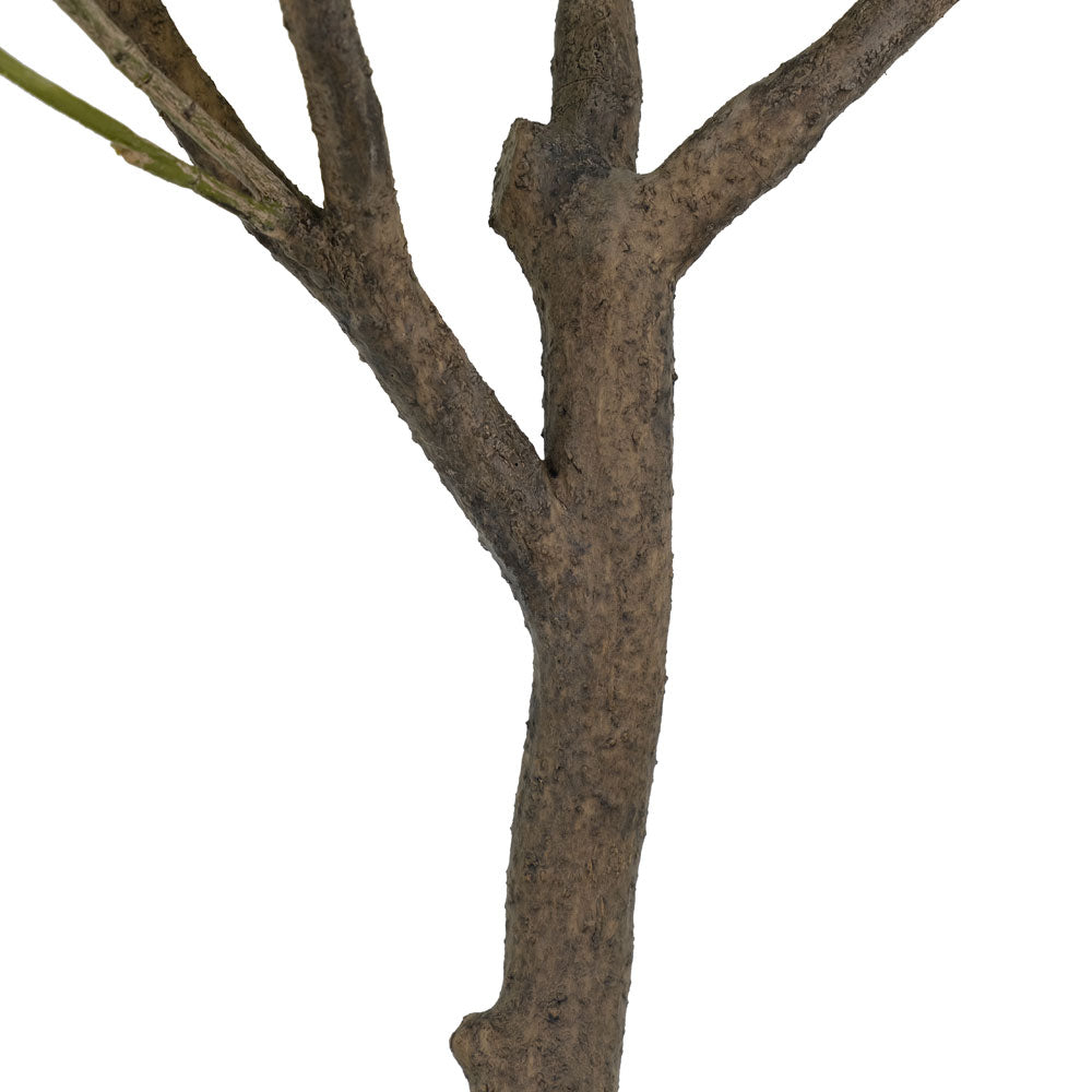 Faux Olive Potted Tree, 6.5 ft