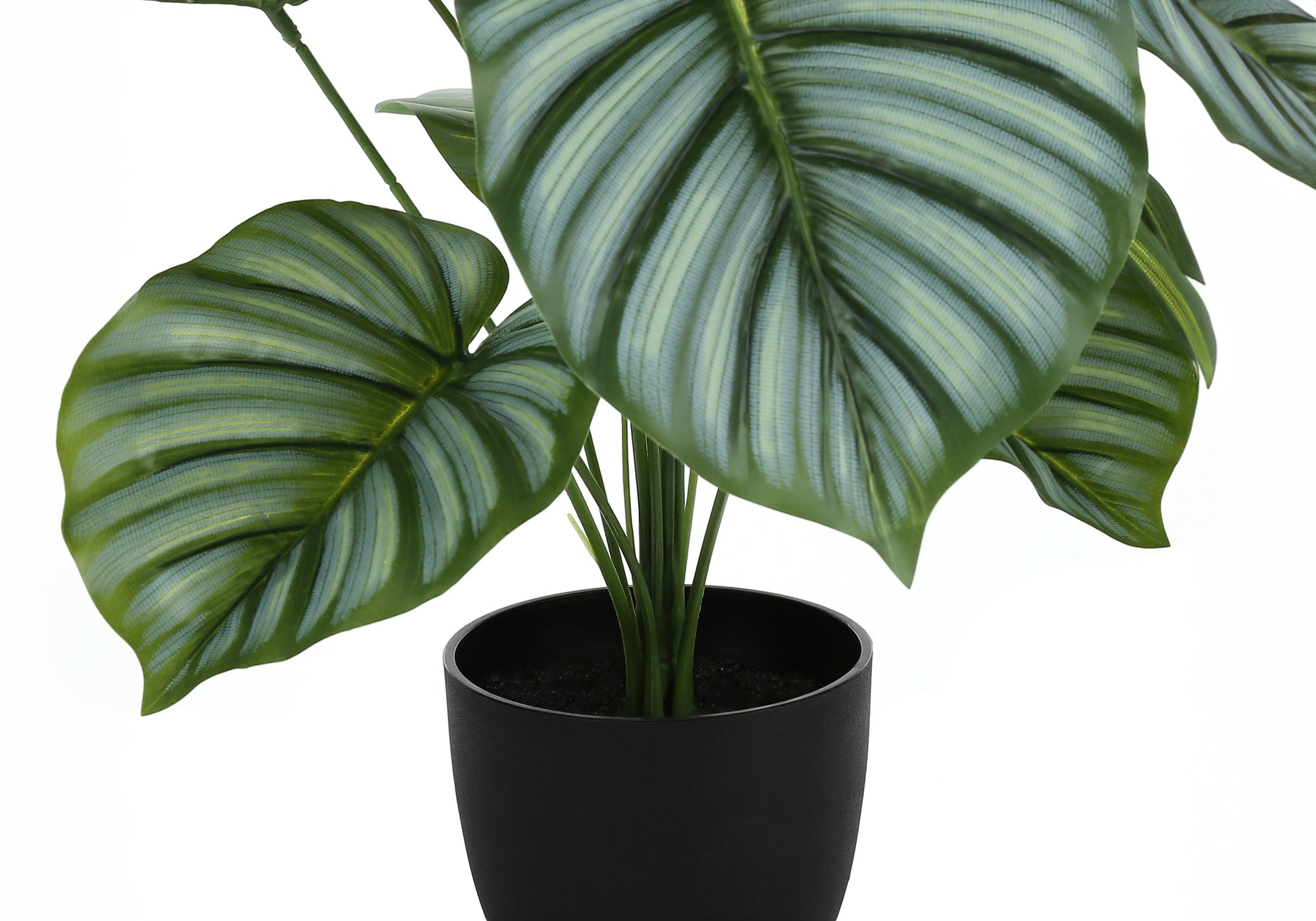 24" Tall Artificial Calathea Plant with Black Pot
