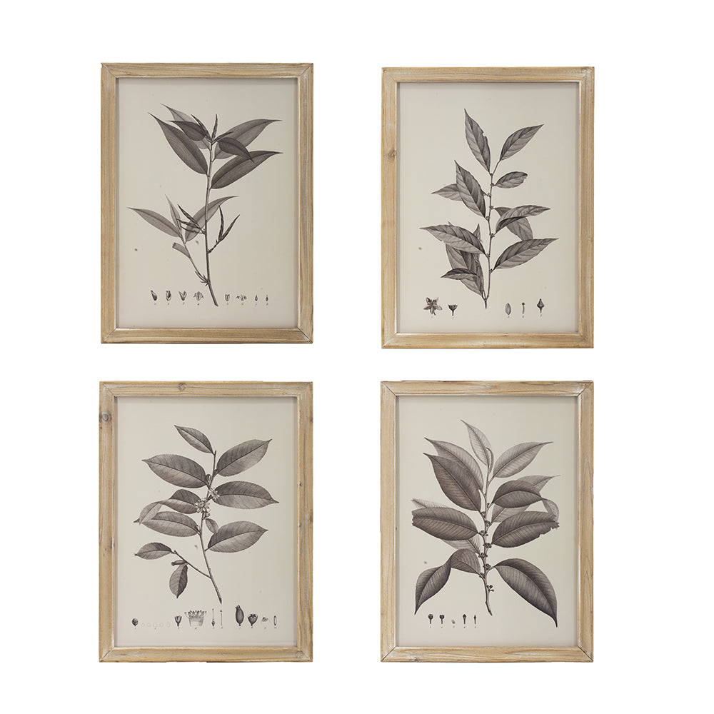 Botanical Wall Décor, Set of 4