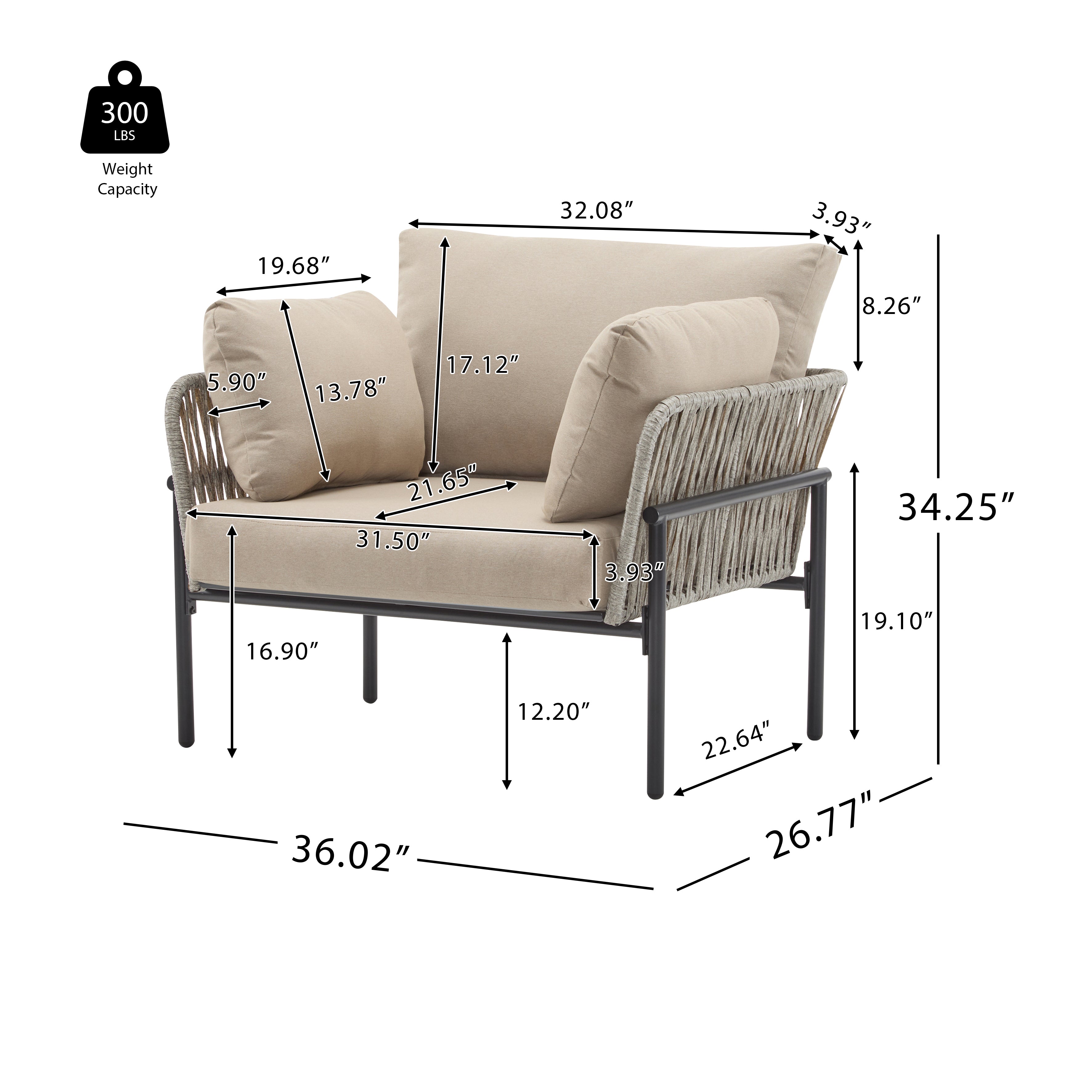 Brisa Outdoor Modern Iron Lounge Chair with Rope Weave