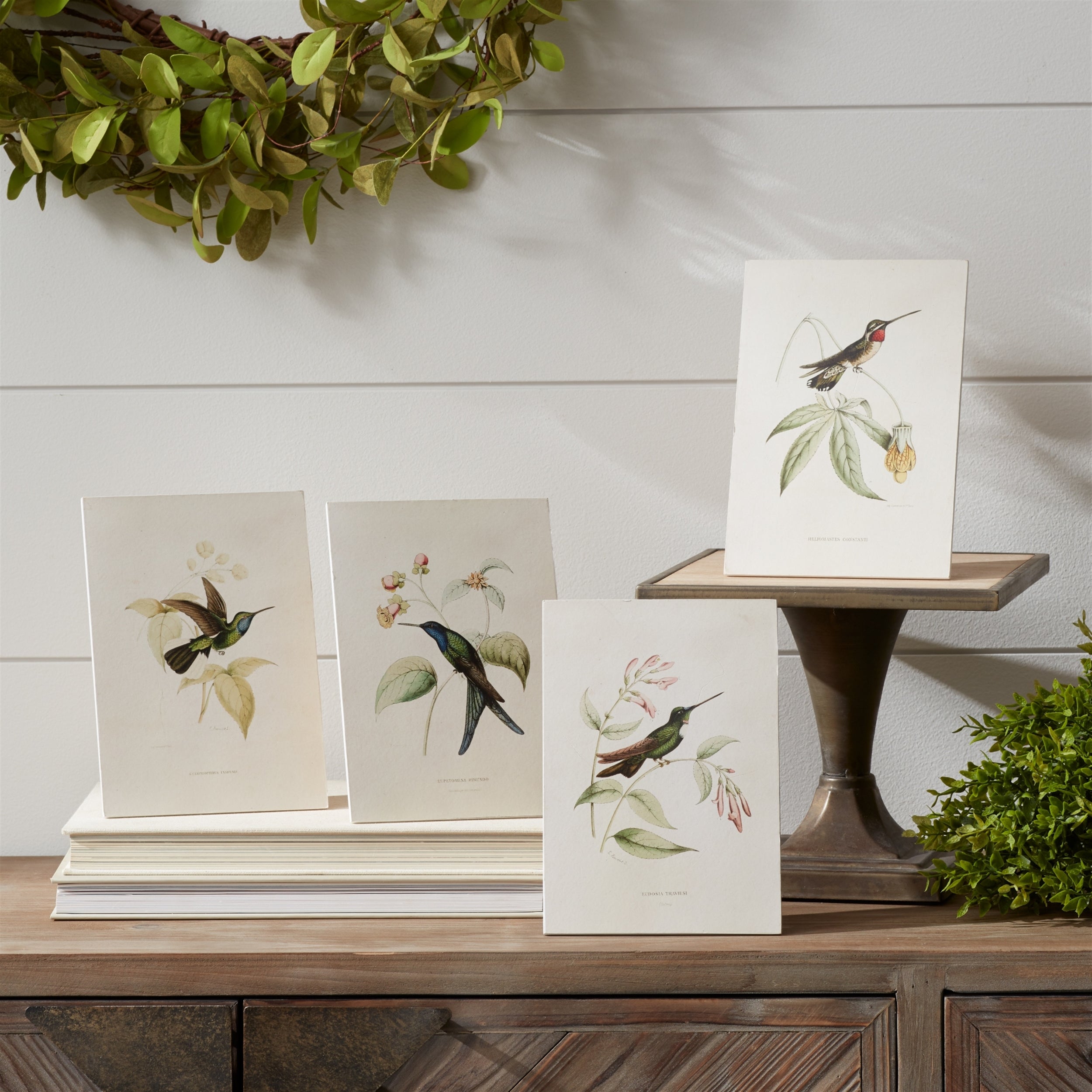Tabletop Encyclopedia Hummingbird Print, Set of 4