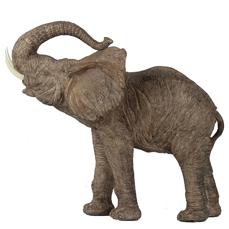 Trumpeting Elephant Accent