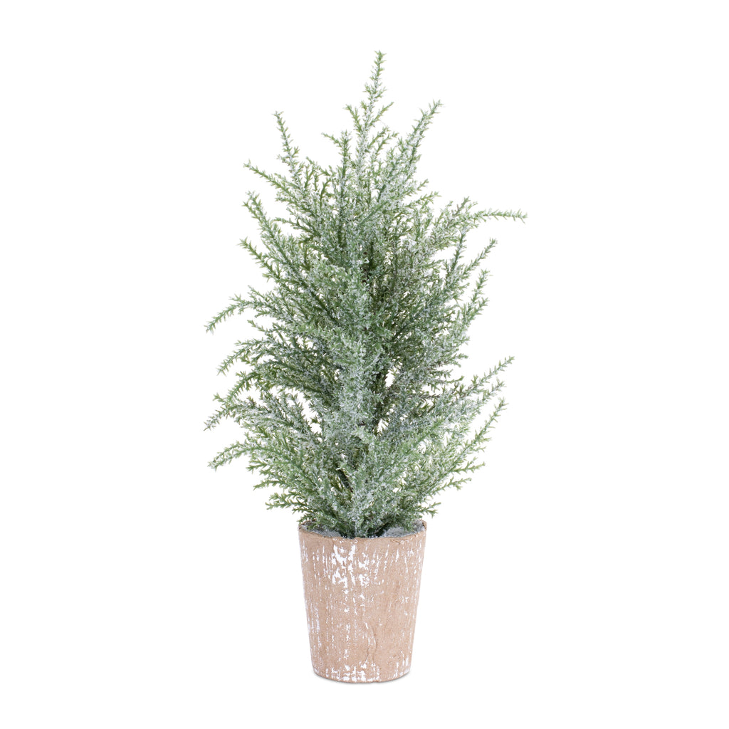 Frosted Holiday Pine Tree in Paper Pot (Set of 4)