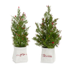 Mini-Pine-Tree-with-Berries-in-Ceramic-Pot-(Set-of-2)-Decor