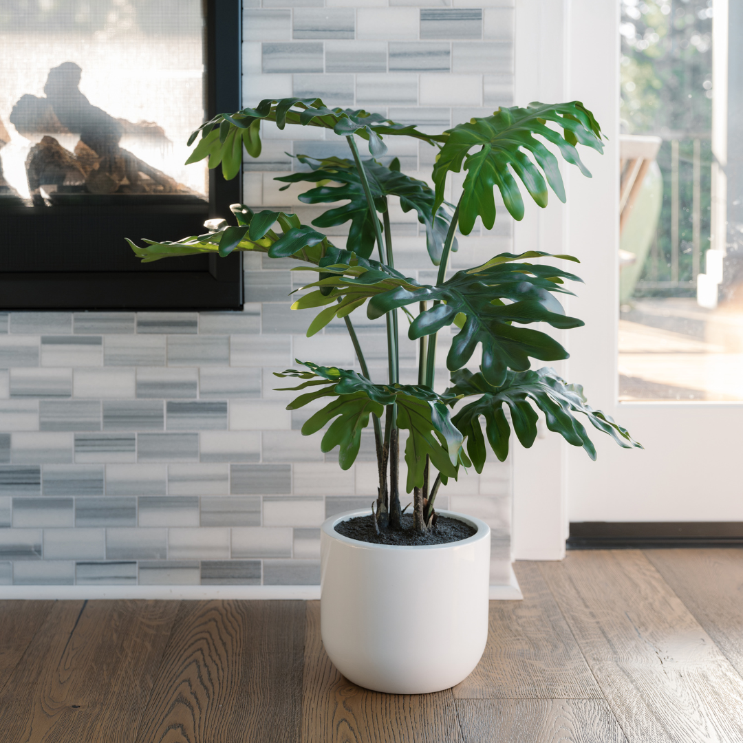 Faux Potted Philodendron Plant, 3 ft