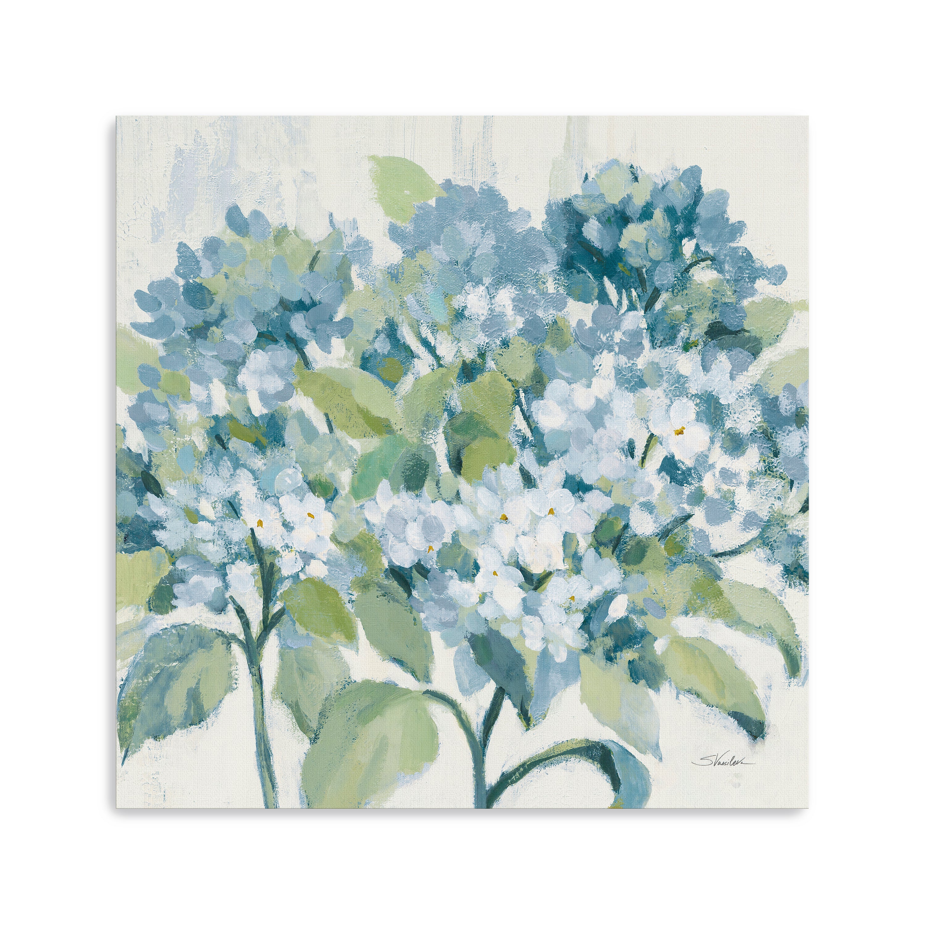 Romantic Hydrangeas Canvas Giclee