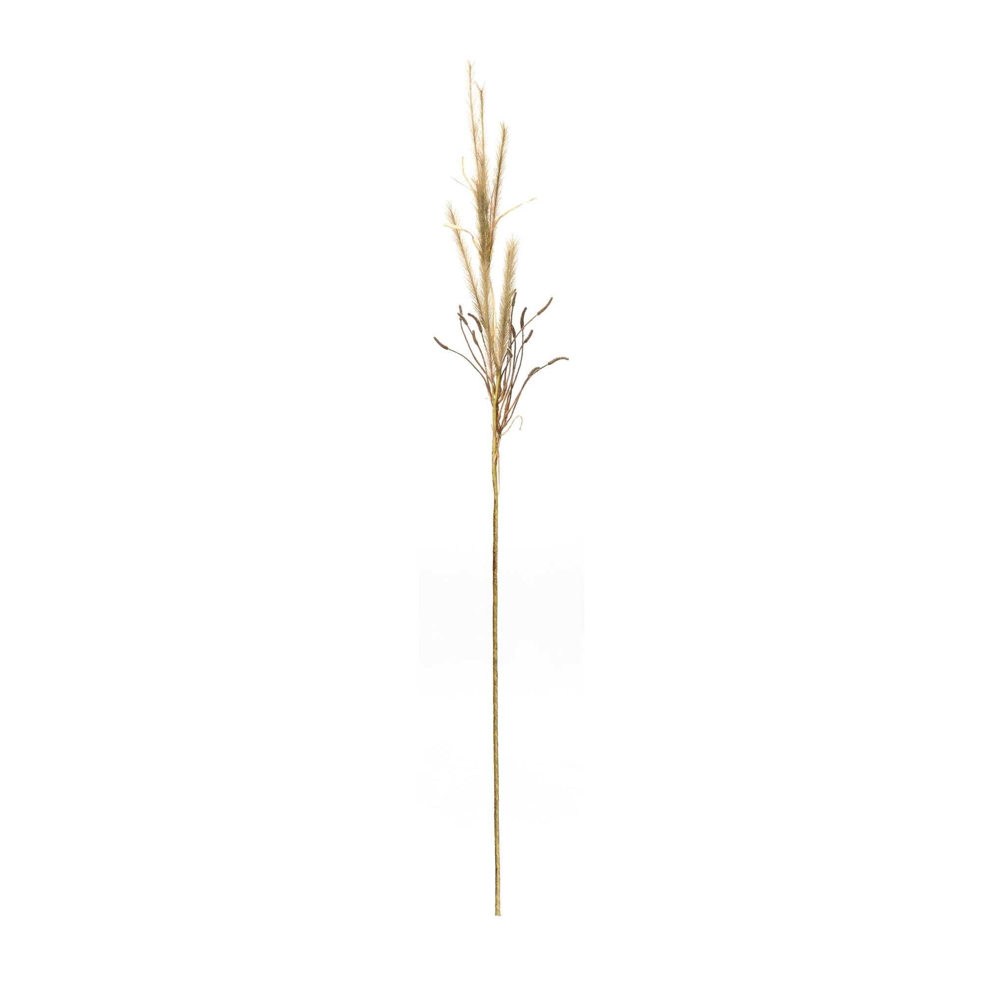 Foxtail Grass Spray, Set of 2